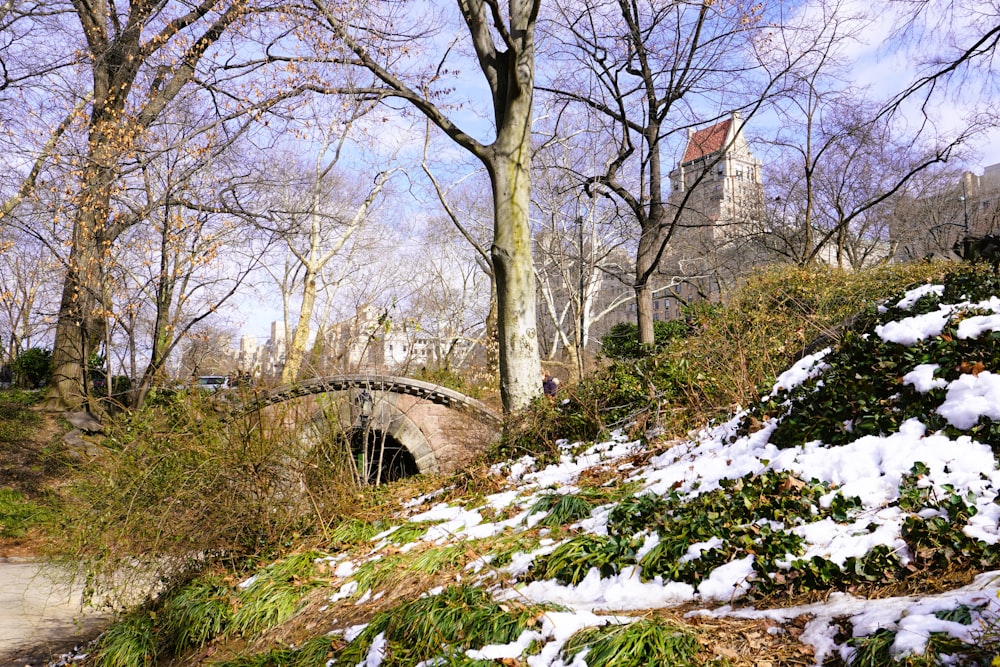 a snow covered hillside with a bridge and trees