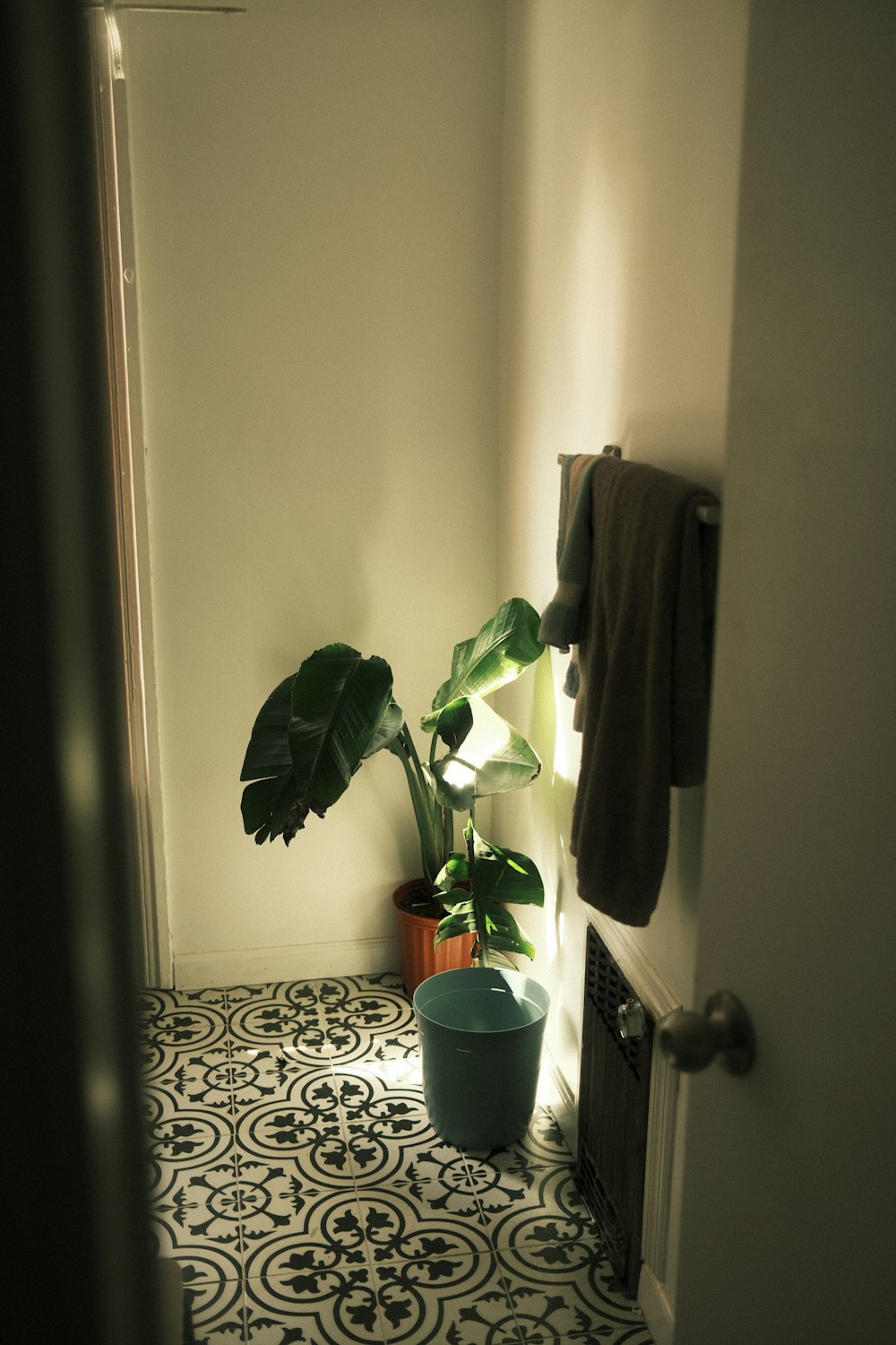 a bathroom with a potted plant on the floor