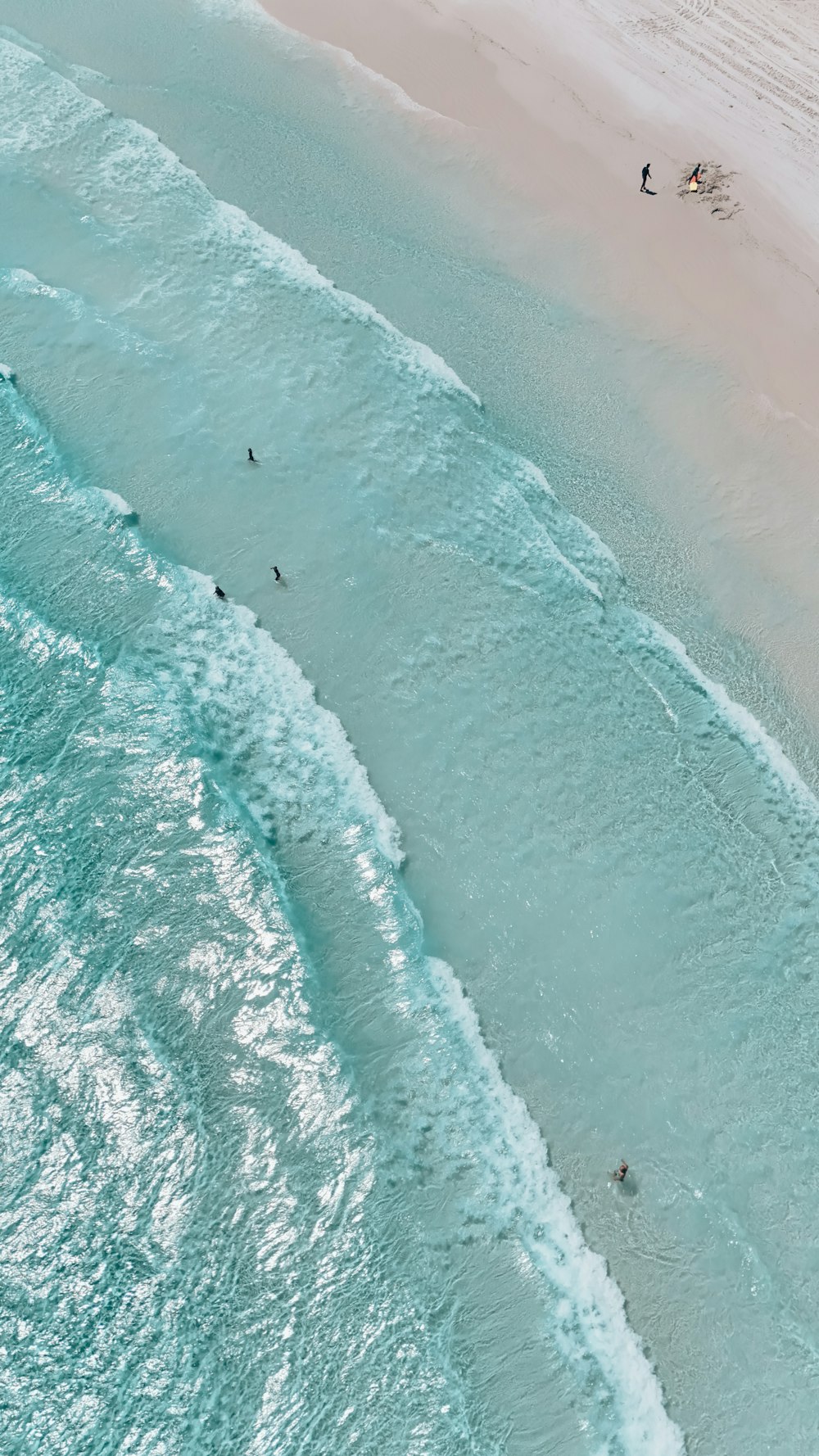 a group of people swimming in the ocean