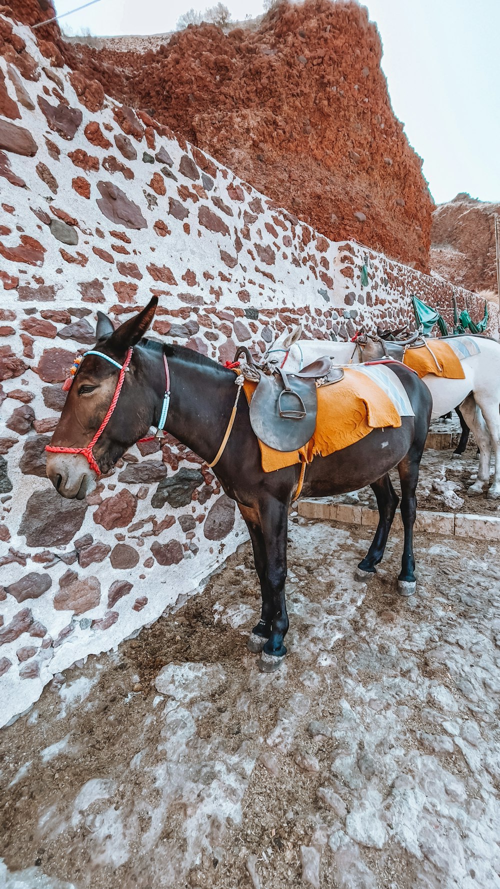 a couple of horses standing next to a stone wall