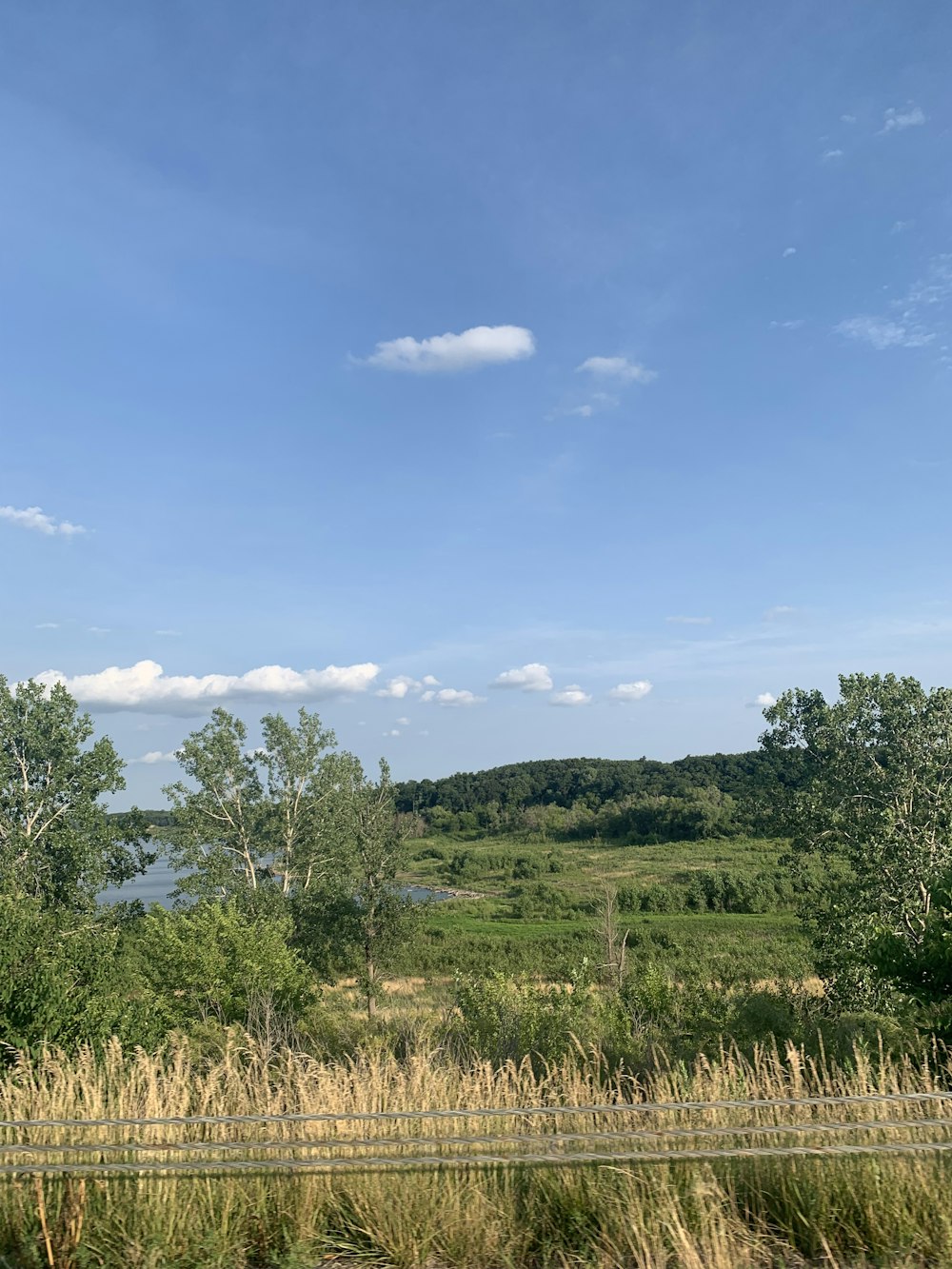 a grassy field with trees and a body of water in the distance