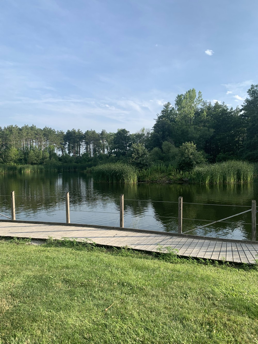 a park bench sitting on the side of a lake