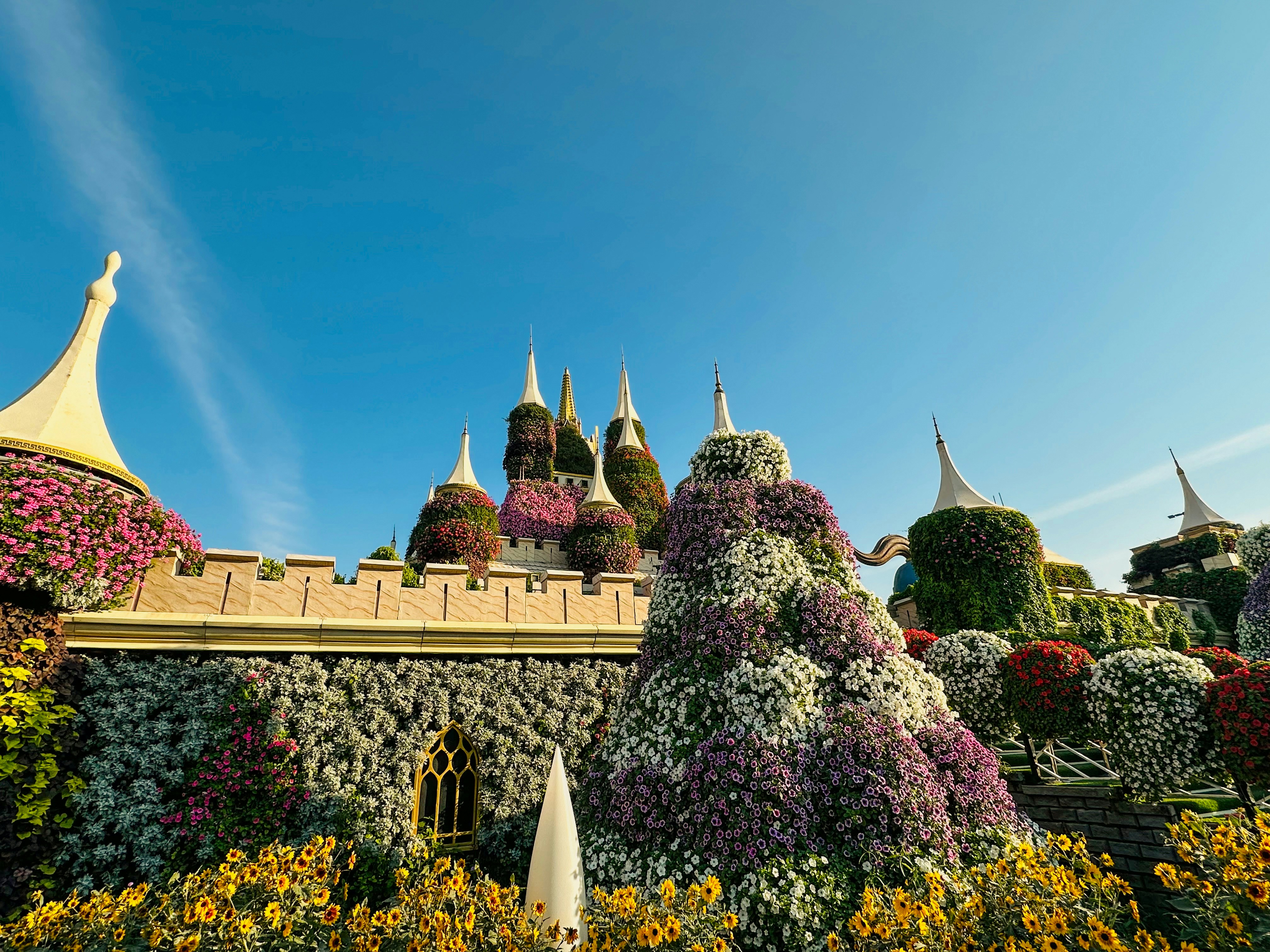 Photo by amanraj1608