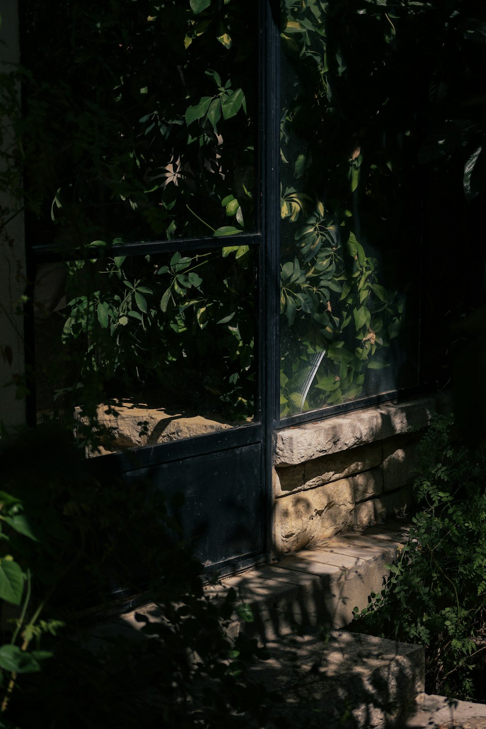 a window in a house with a plant in front of it