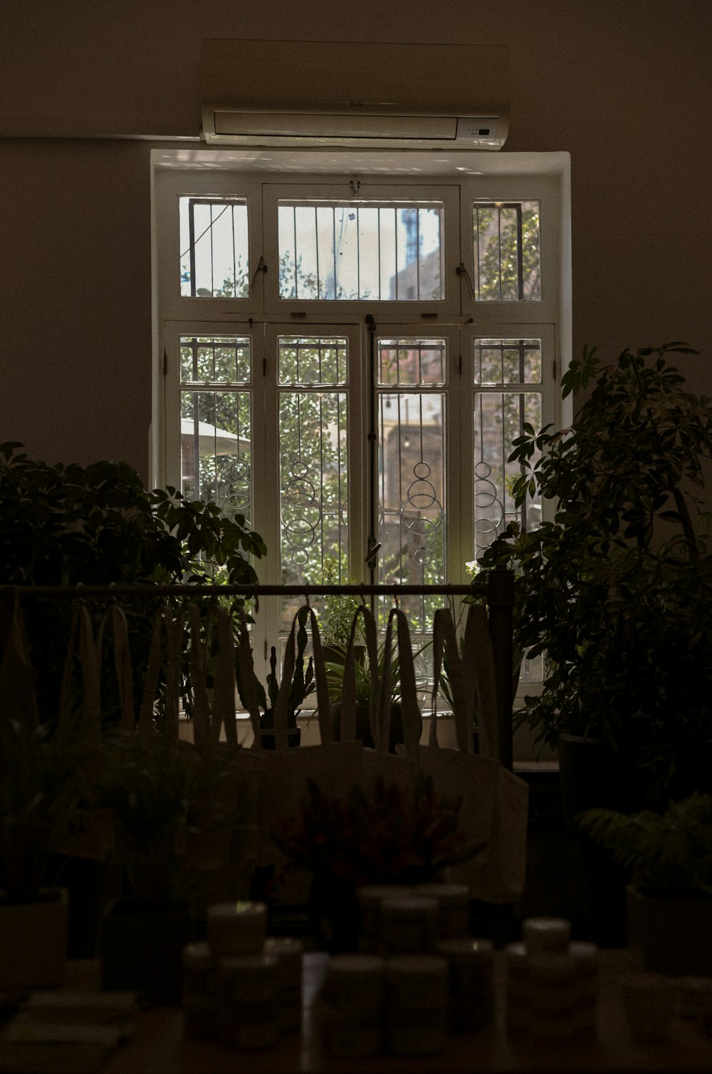 a room with a lot of plants and a window