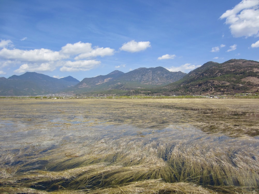 a large body of water surrounded by mountains