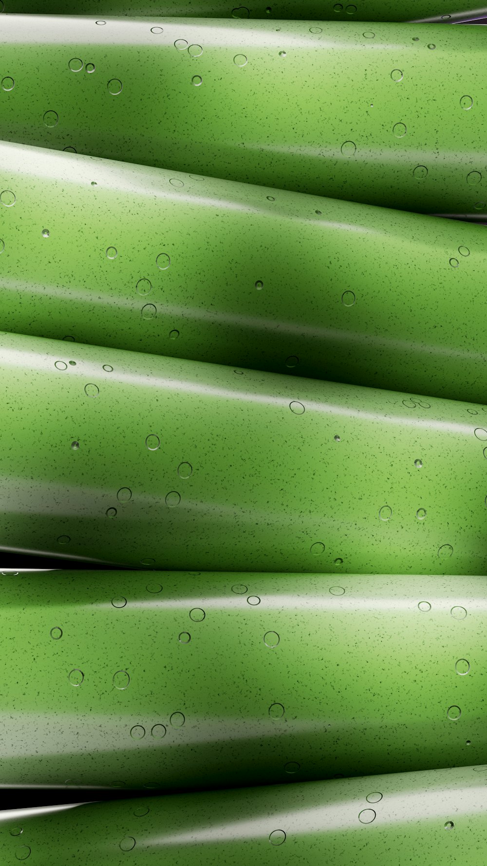 a close up of a green plant with water drops