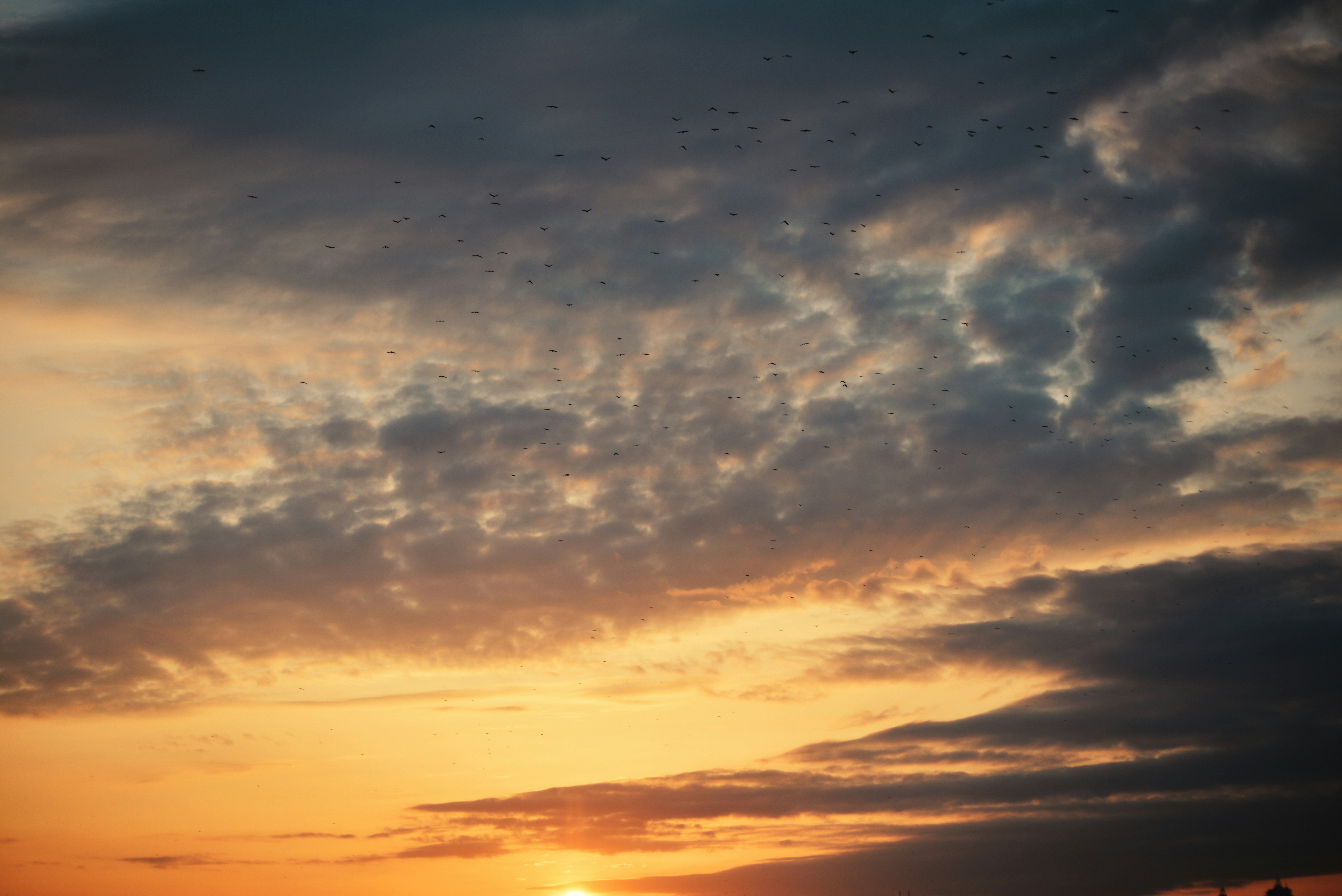 Photo by cherstve_pechivo