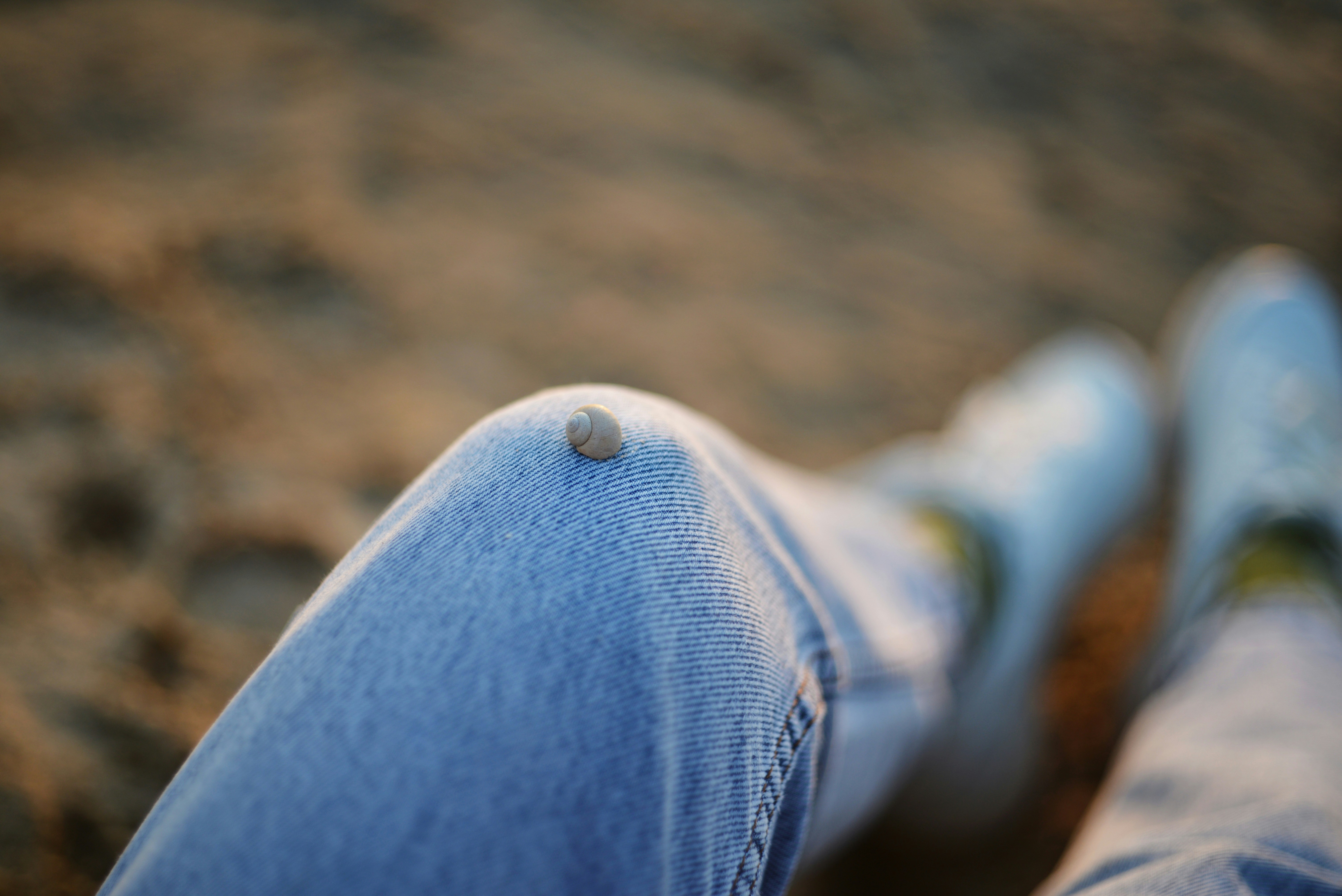 Photo by cherstve_pechivo