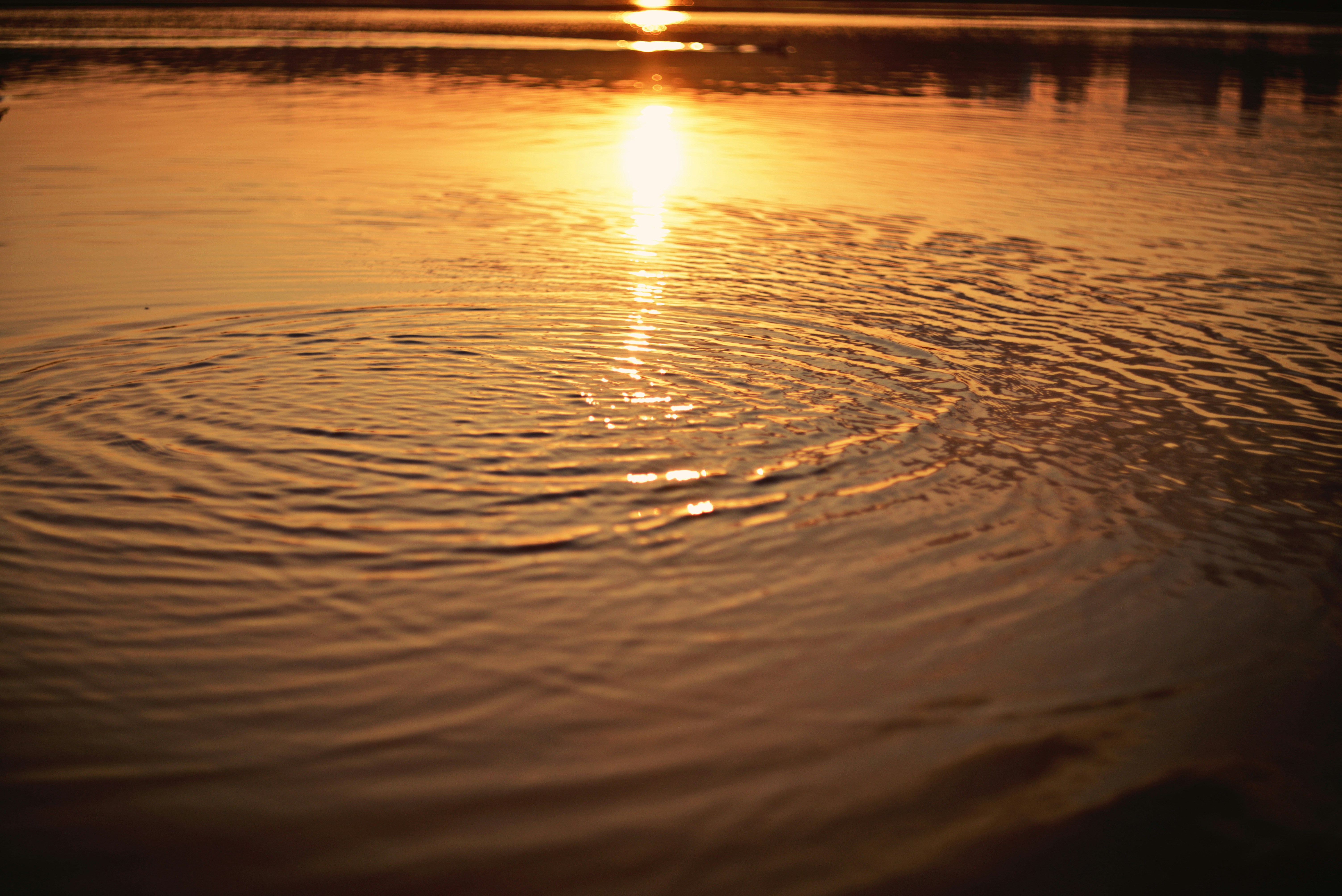 Photo by cherstve_pechivo