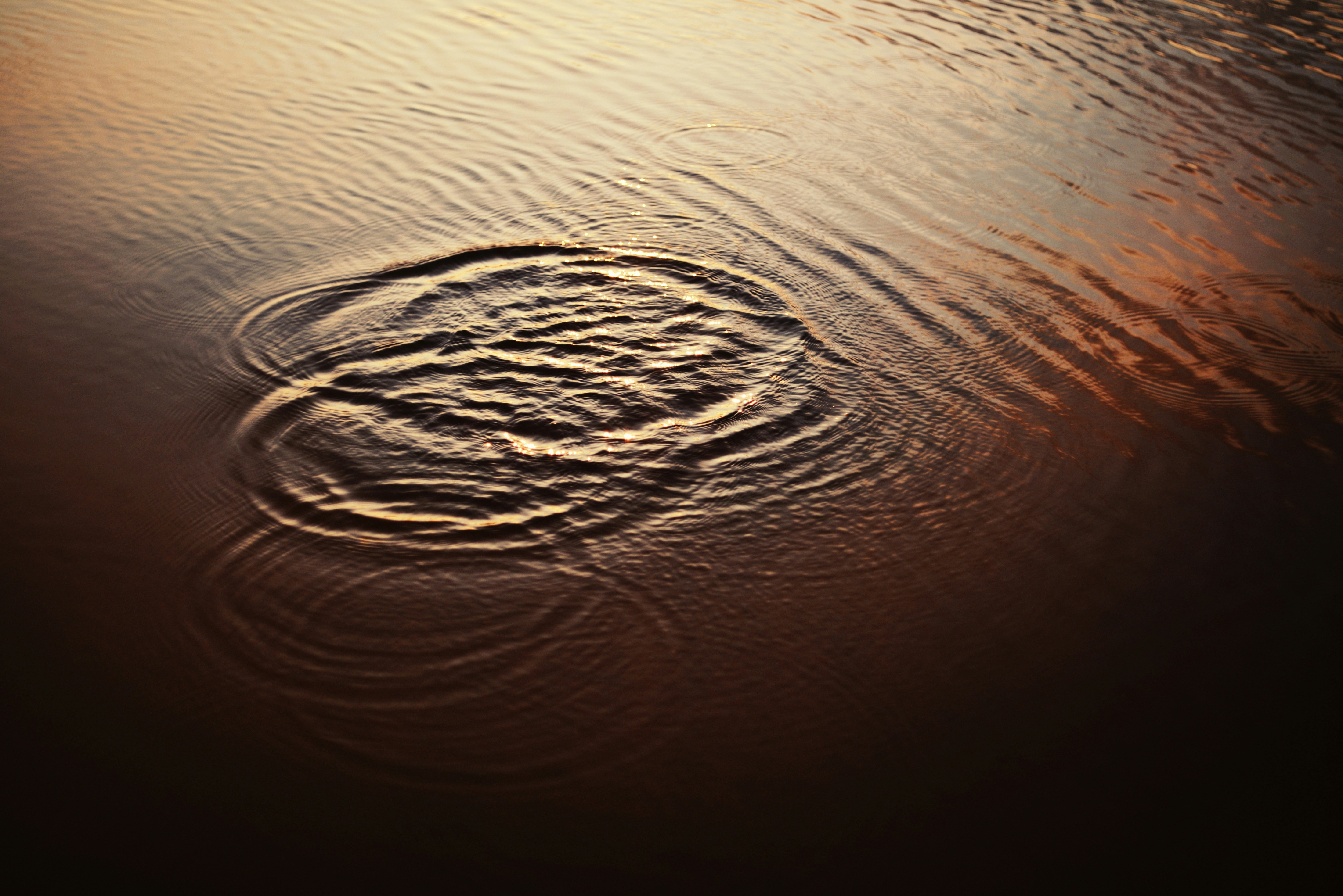 a circle of ripples in a body of water