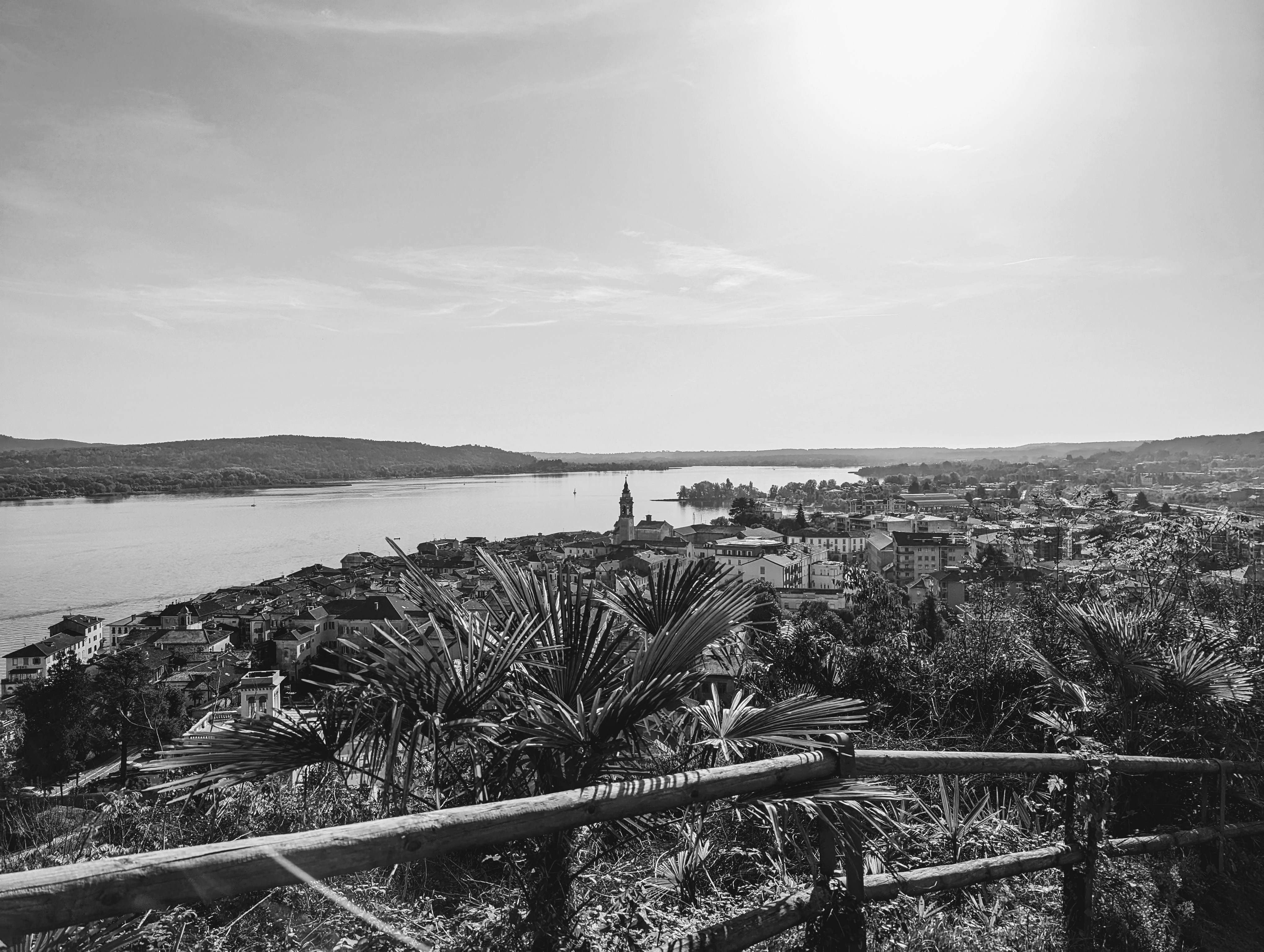 B/W Arona