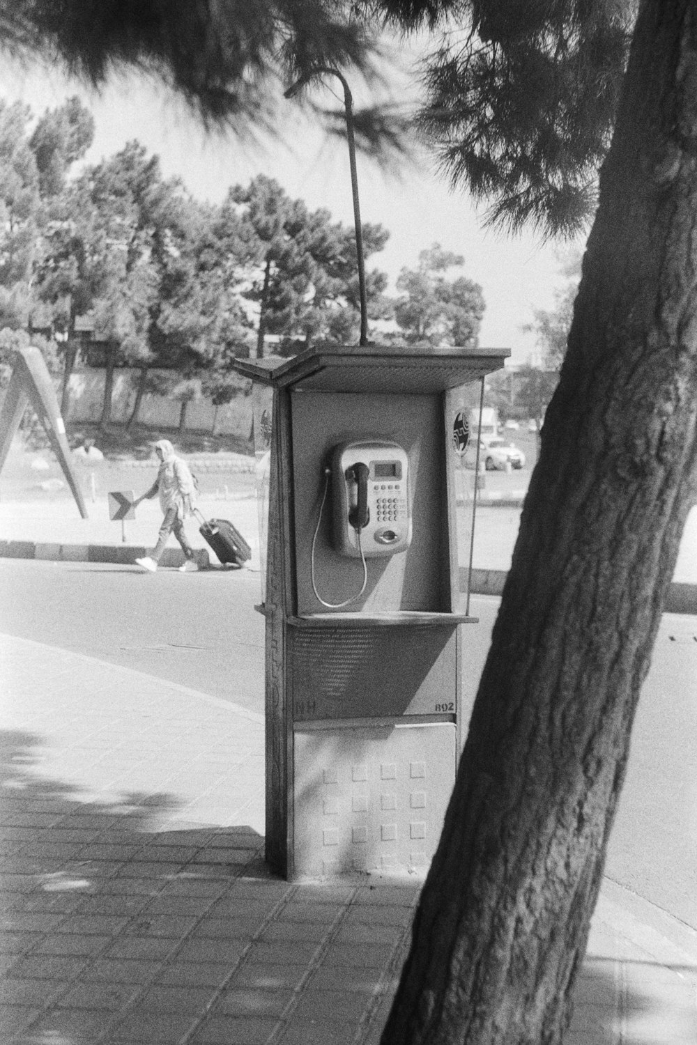 a phone booth sitting next to a tree on a sidewalk