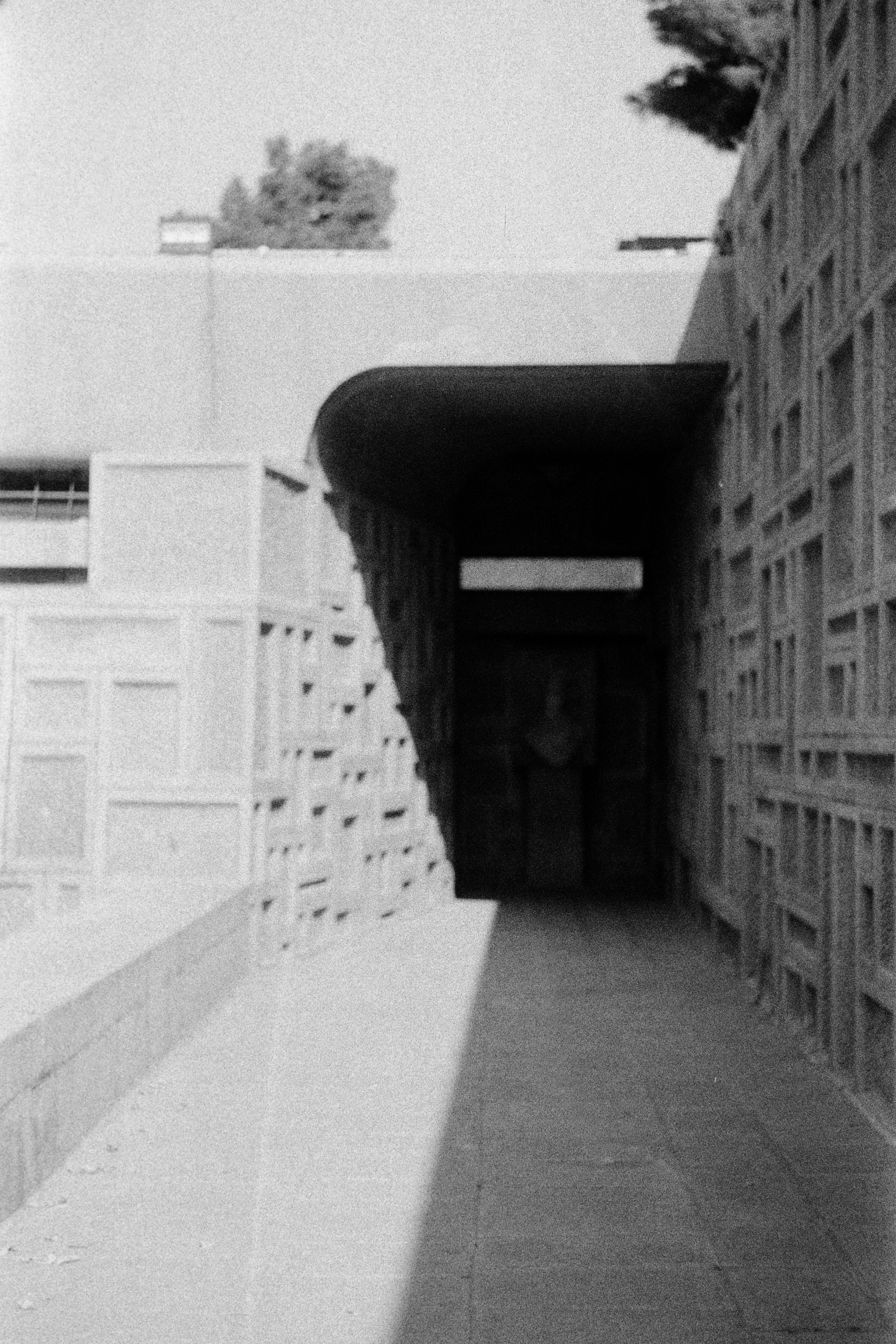 Photo by anitarahalzadeh