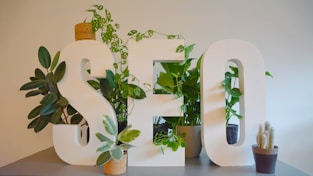 a white sign with plants and a potted plant next to it