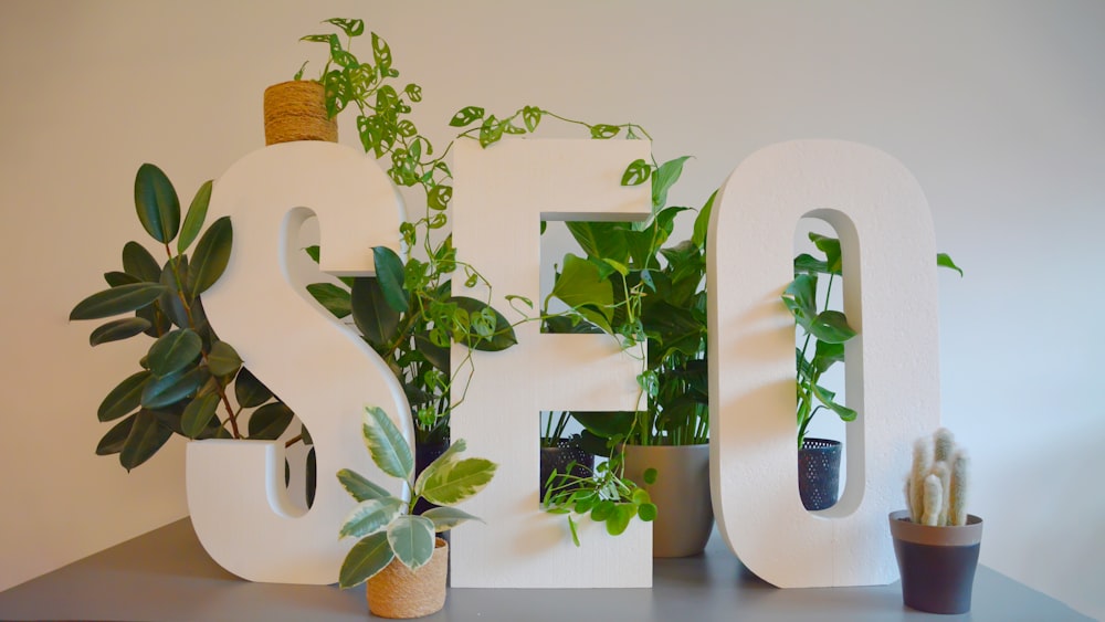 a white sign with plants and a potted plant next to it