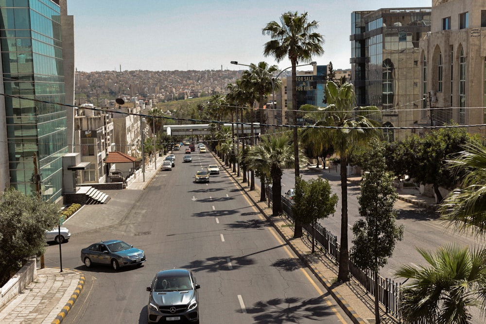 a street lined with palm trees and parked cars