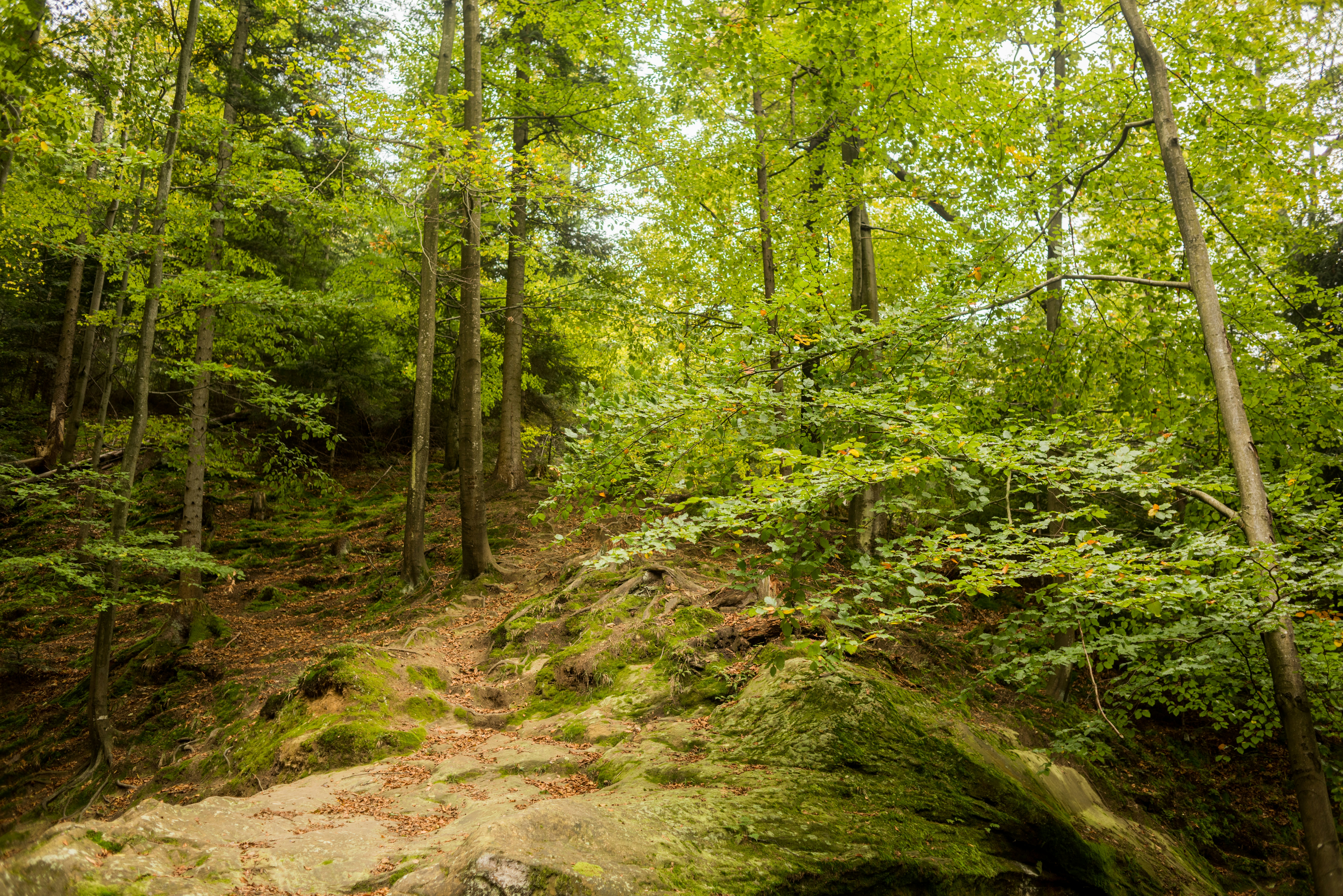 Photo by eugenivy_now