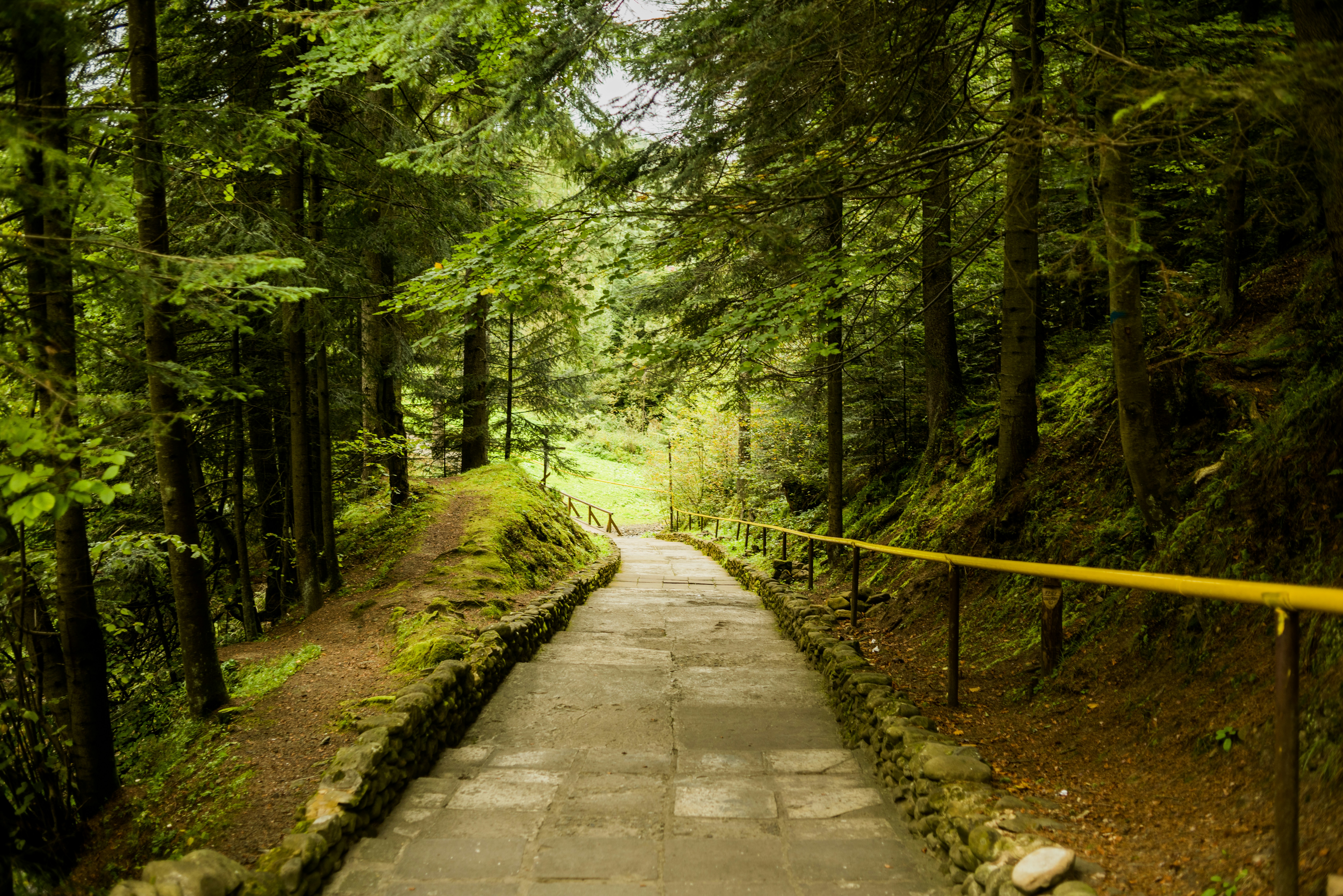 Photo by eugenivy_now