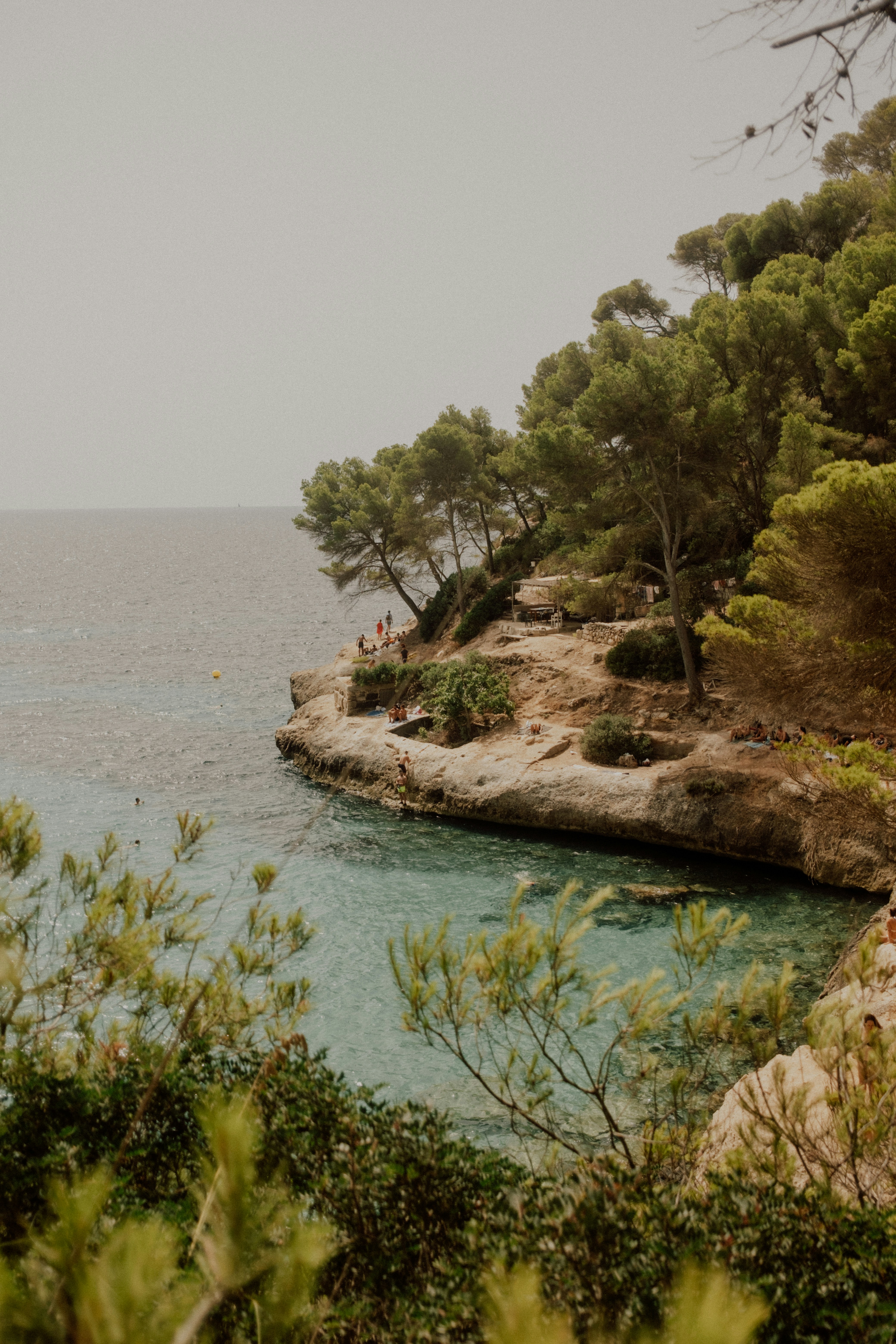 Photo by lawlesscapture