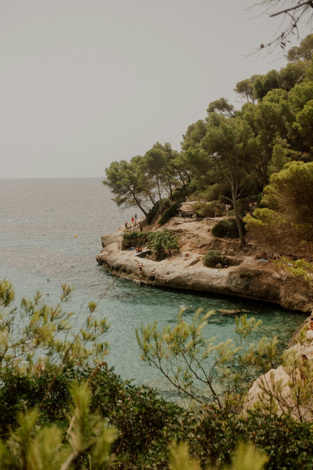 a body of water surrounded by trees and rocks