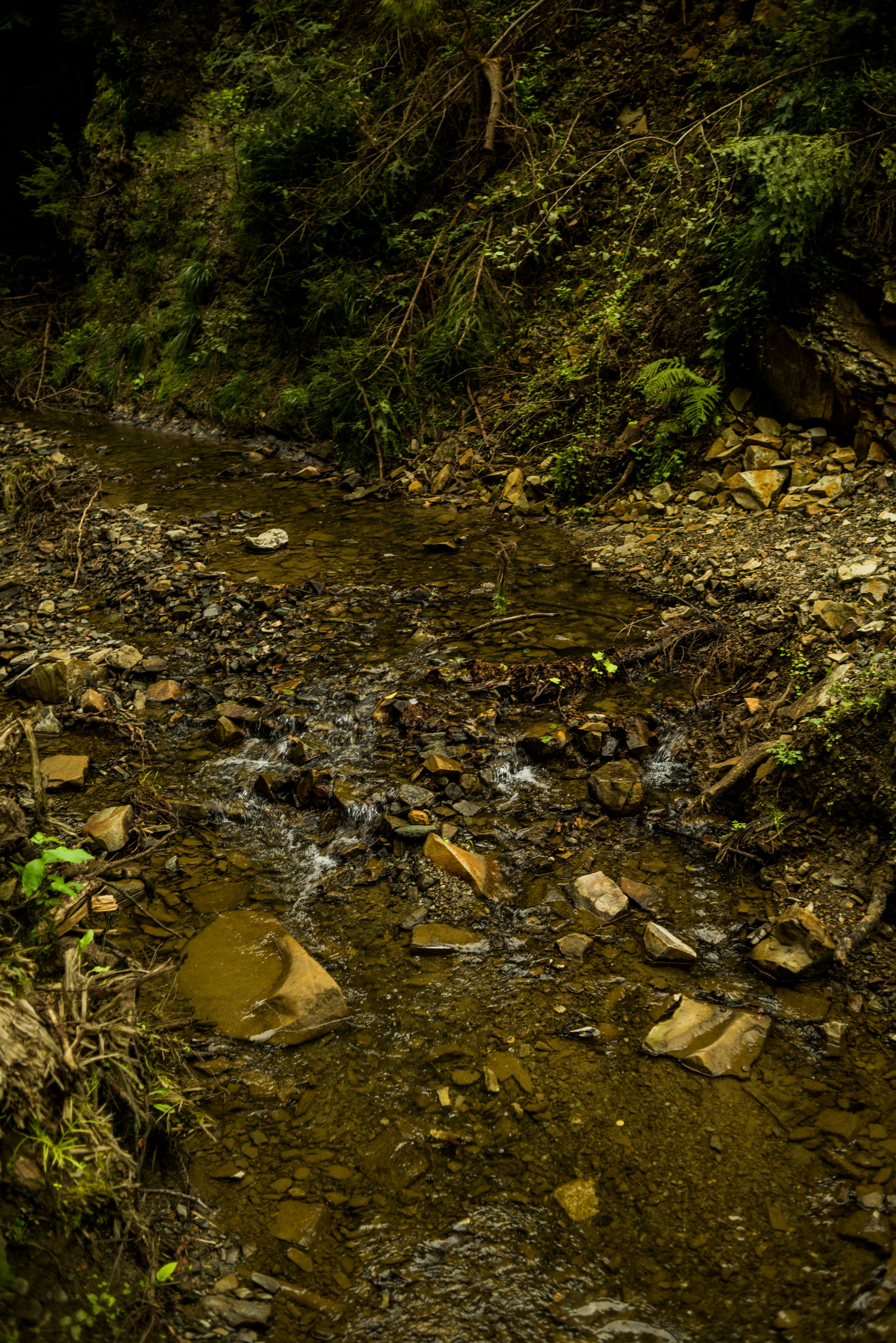 Photo by eugenivy_now