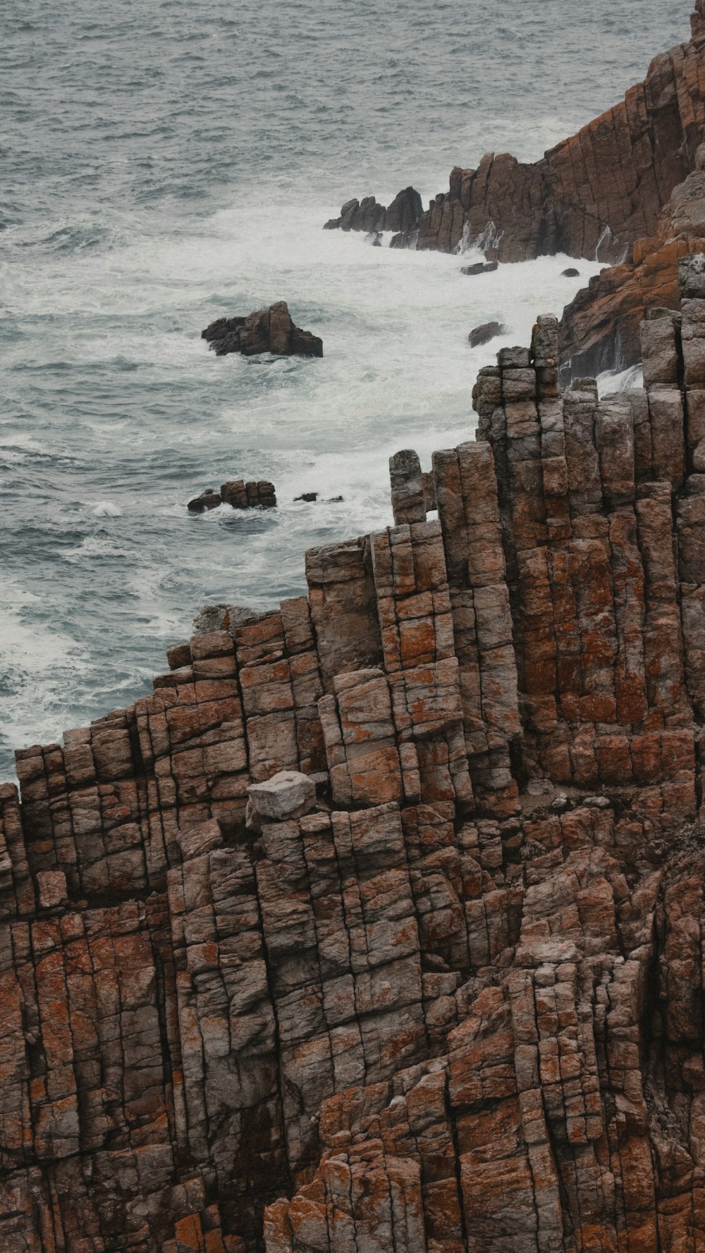 a bird sitting on a rock near the ocean