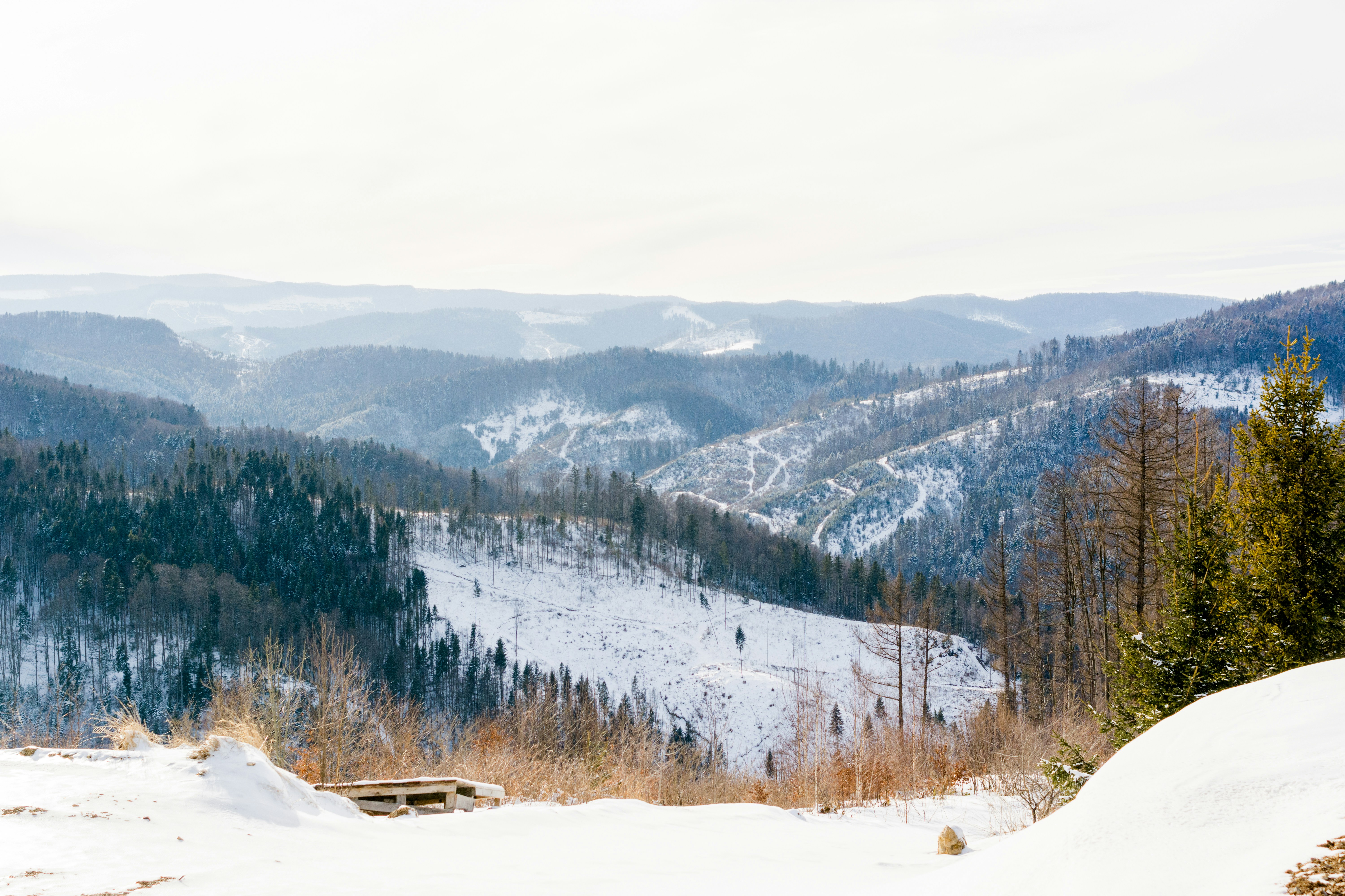 Photo by eugenivy_now