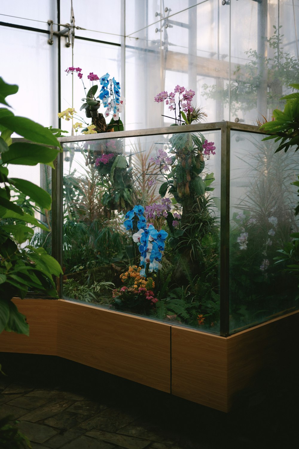 a glass case with plants inside of it