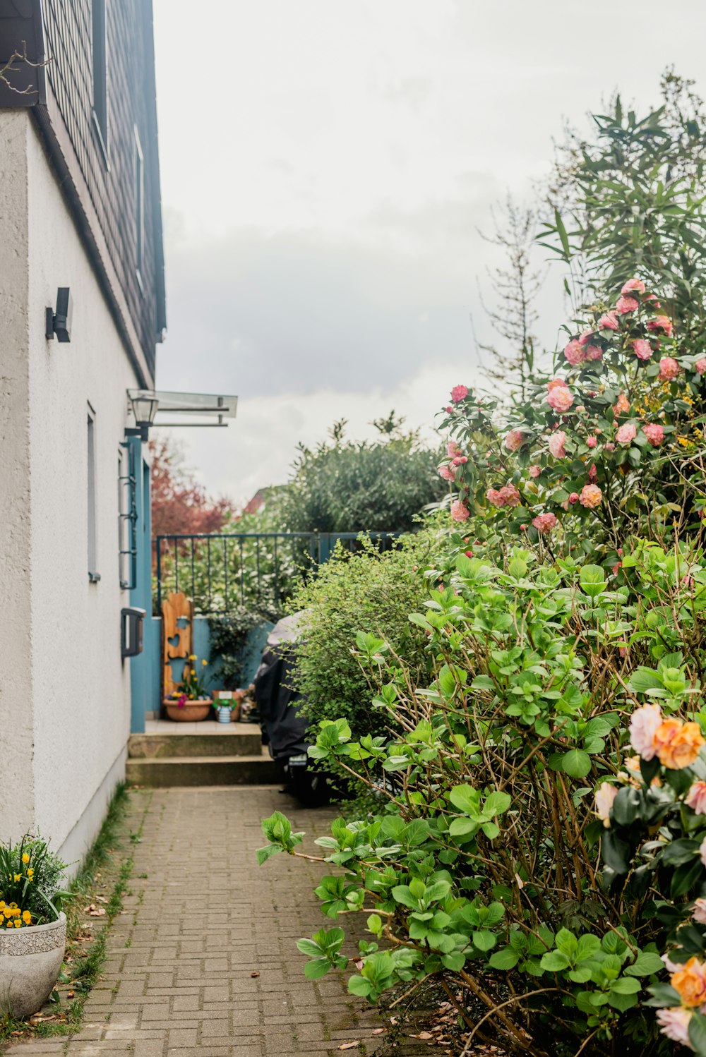 a narrow brick path leading to a house