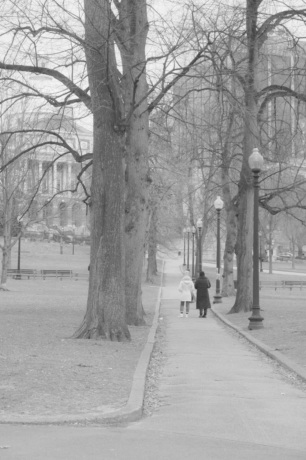 a couple of people walking down a sidewalk next to trees