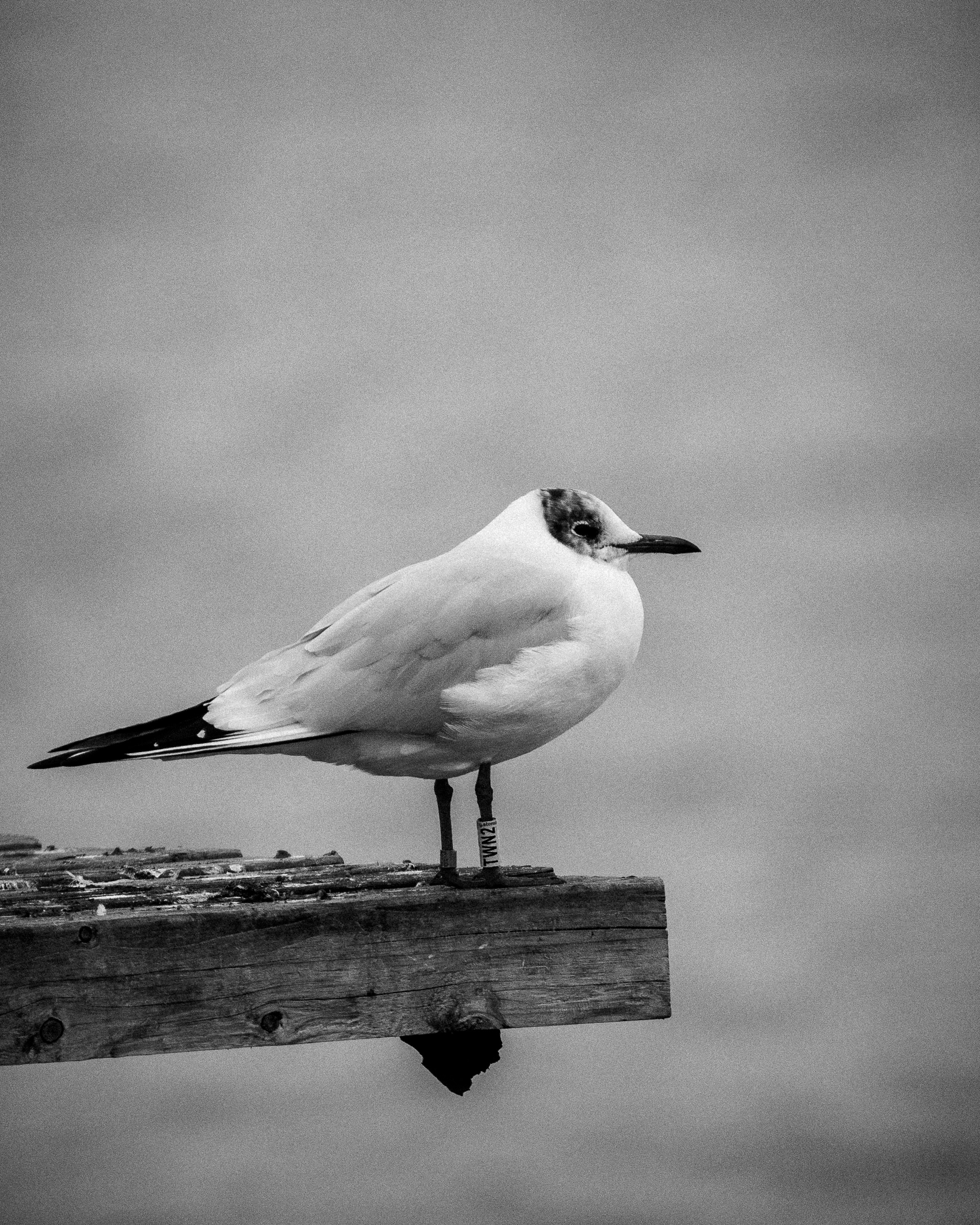 Photo by damiankarpinski_photo