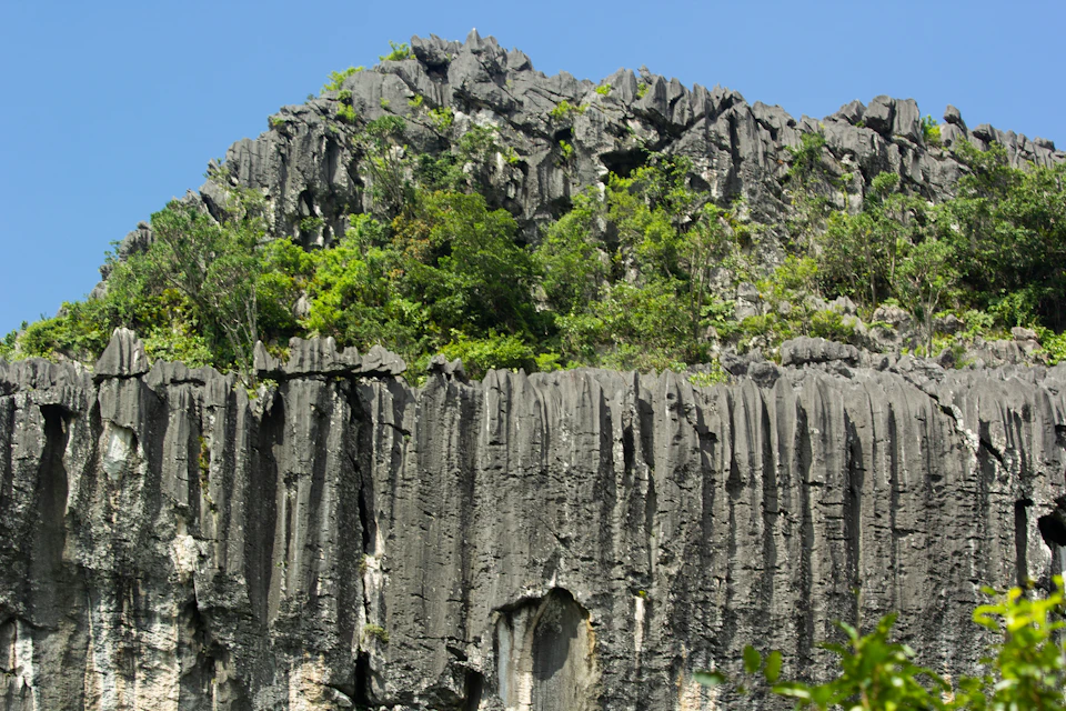 The image depicts a rugged cliff face with numerous small, jagged rocks protruding from it. The cliff is covered in lush green vegetation, including trees and bushes that add color to the otherwise gray landscape. The perspective of the photo suggests it was taken from below, looking up at the imposing height of the cliff.