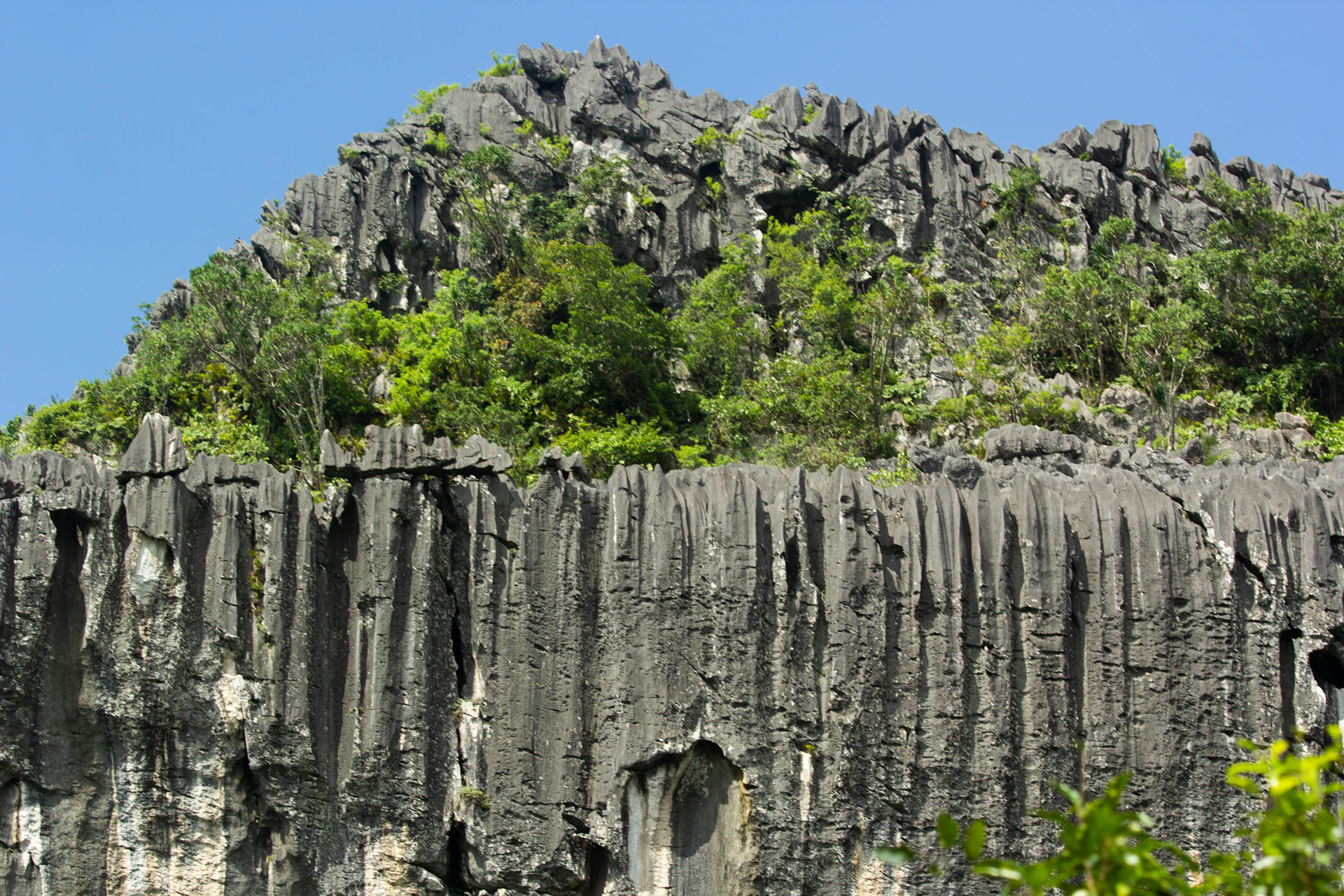 a large rock formation with trees growing on top of it