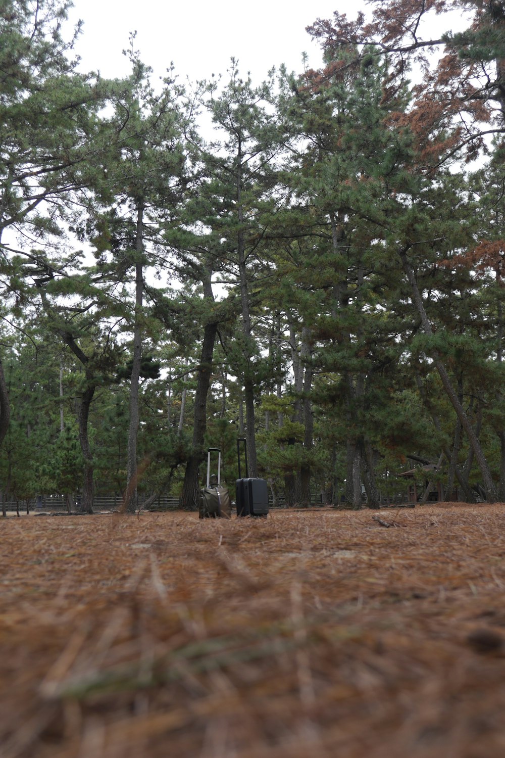 a suitcase sitting in the middle of a field