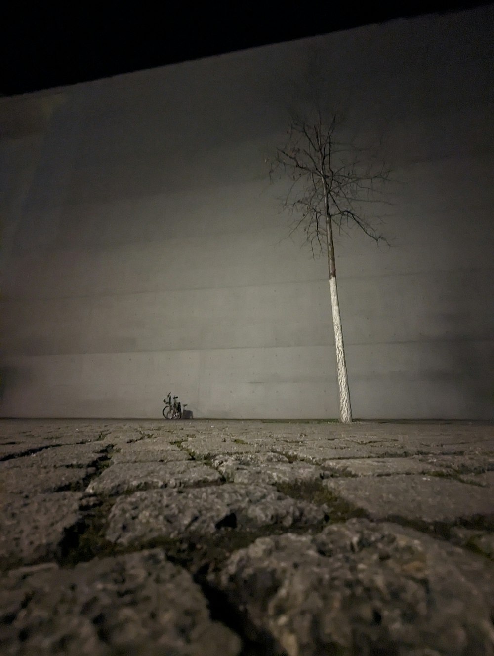 a lone tree stands in the middle of a barren field