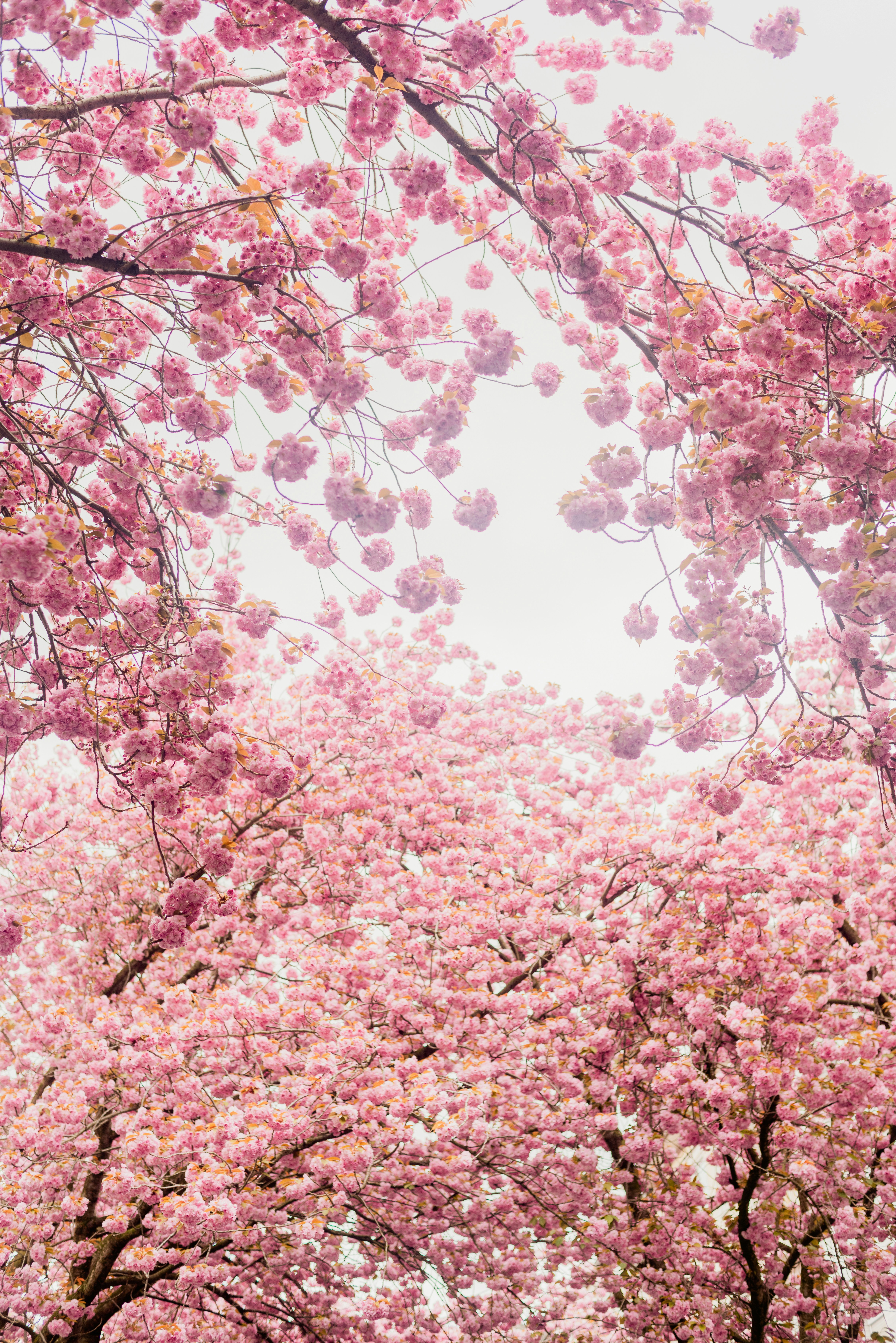 Photo by eugenivy_now