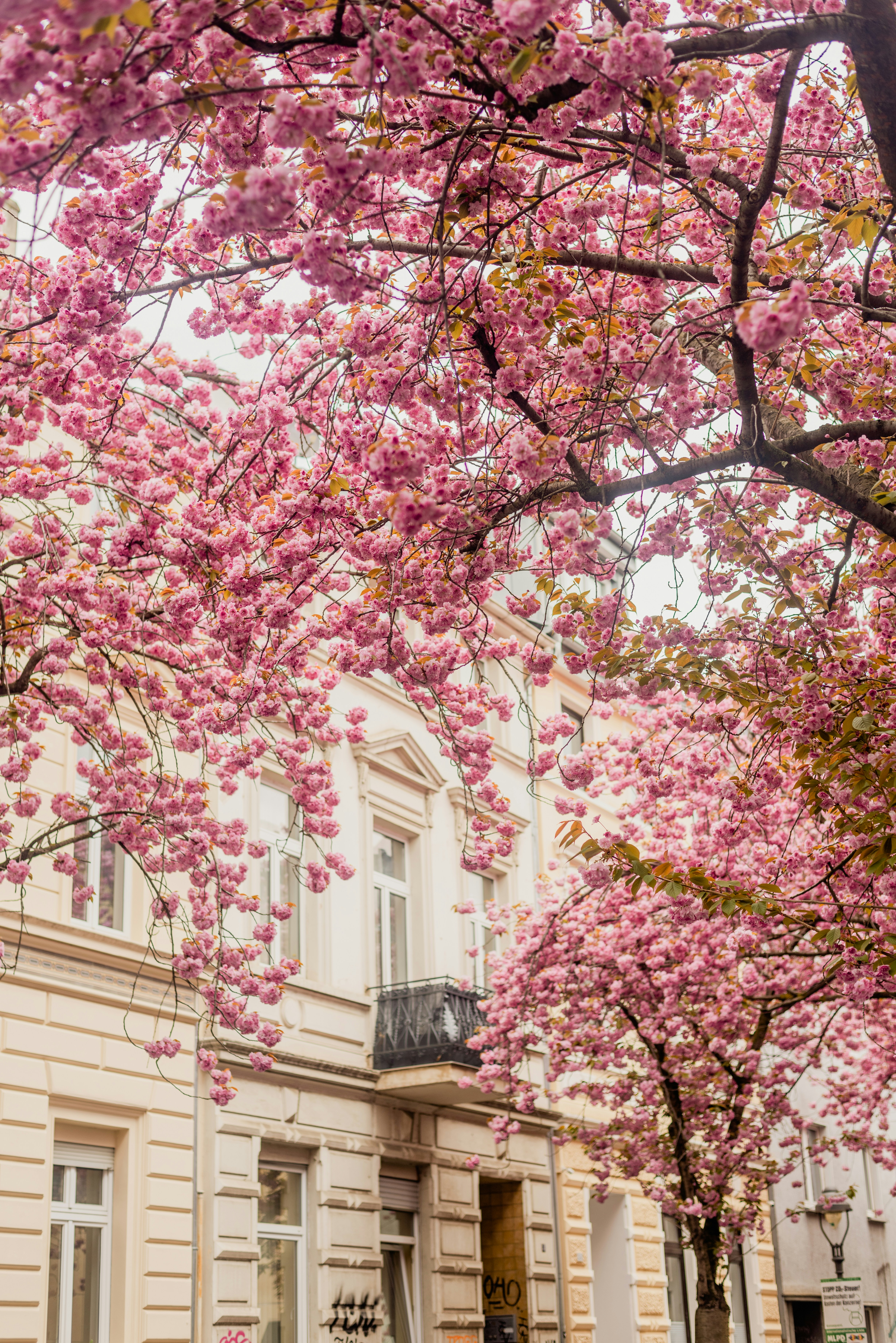 Photo by eugenivy_now