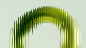 a picture of a green object with a white background