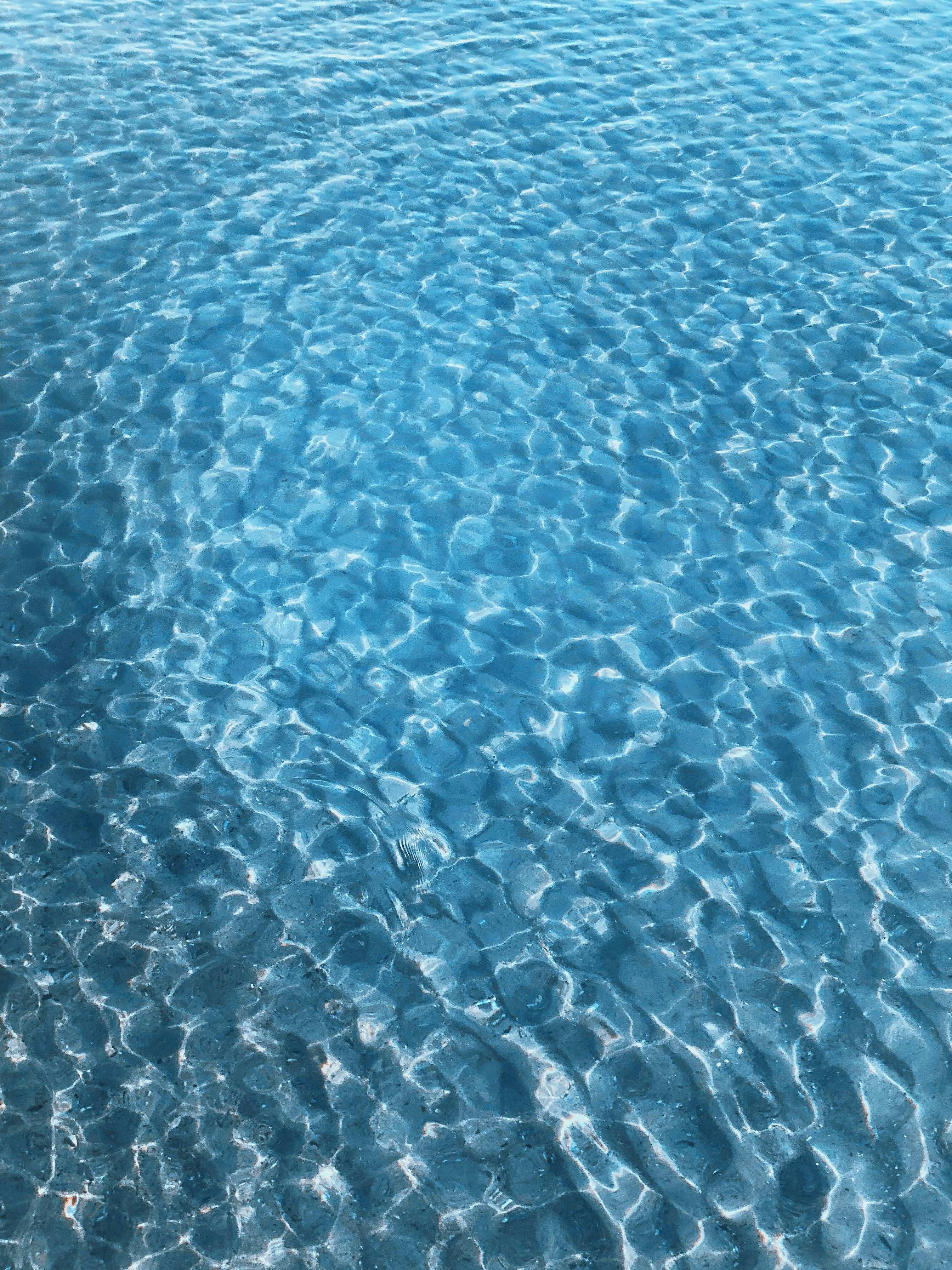 Photo by original_1st