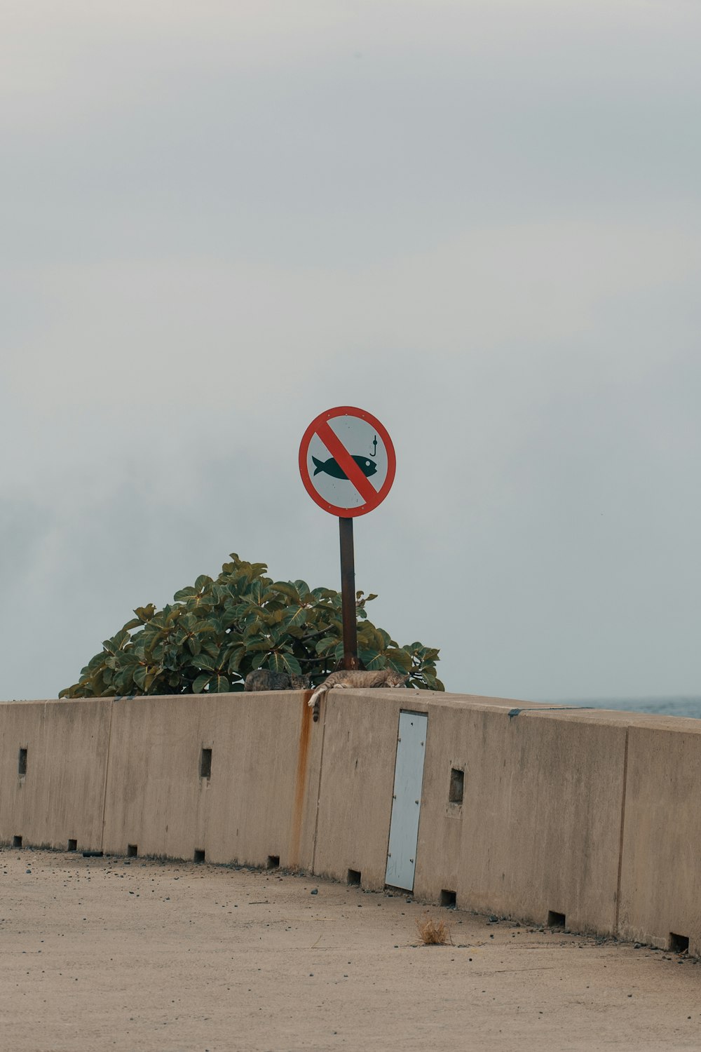 a no right turn sign next to a concrete wall