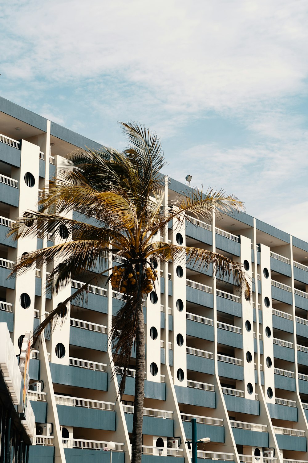 a tall building with a palm tree in front of it