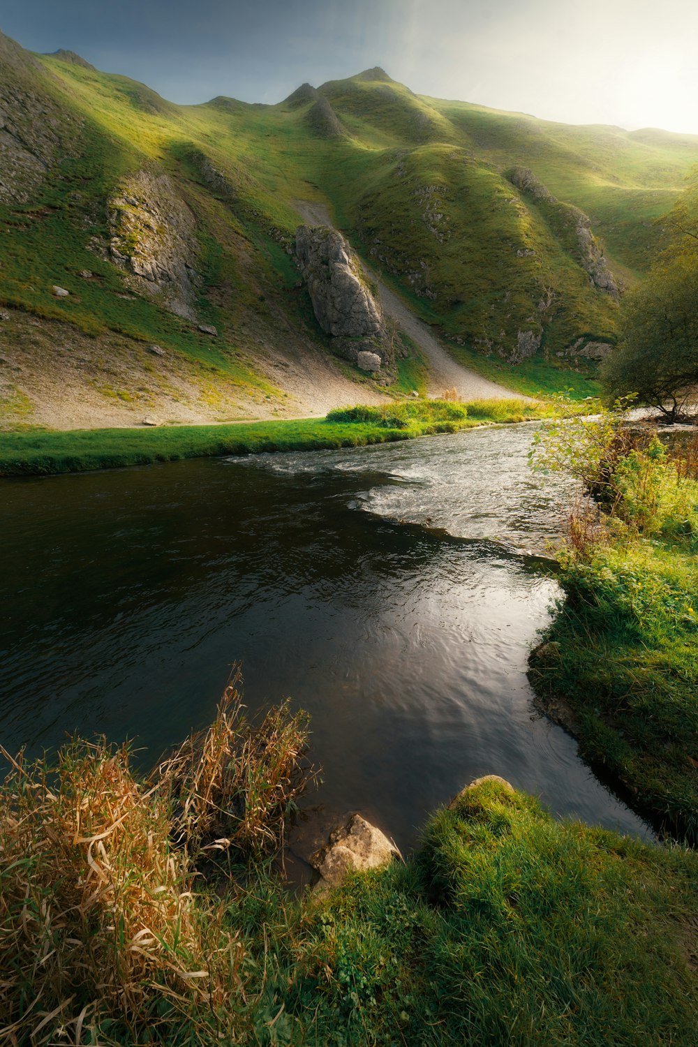 a river running through a lush green valley