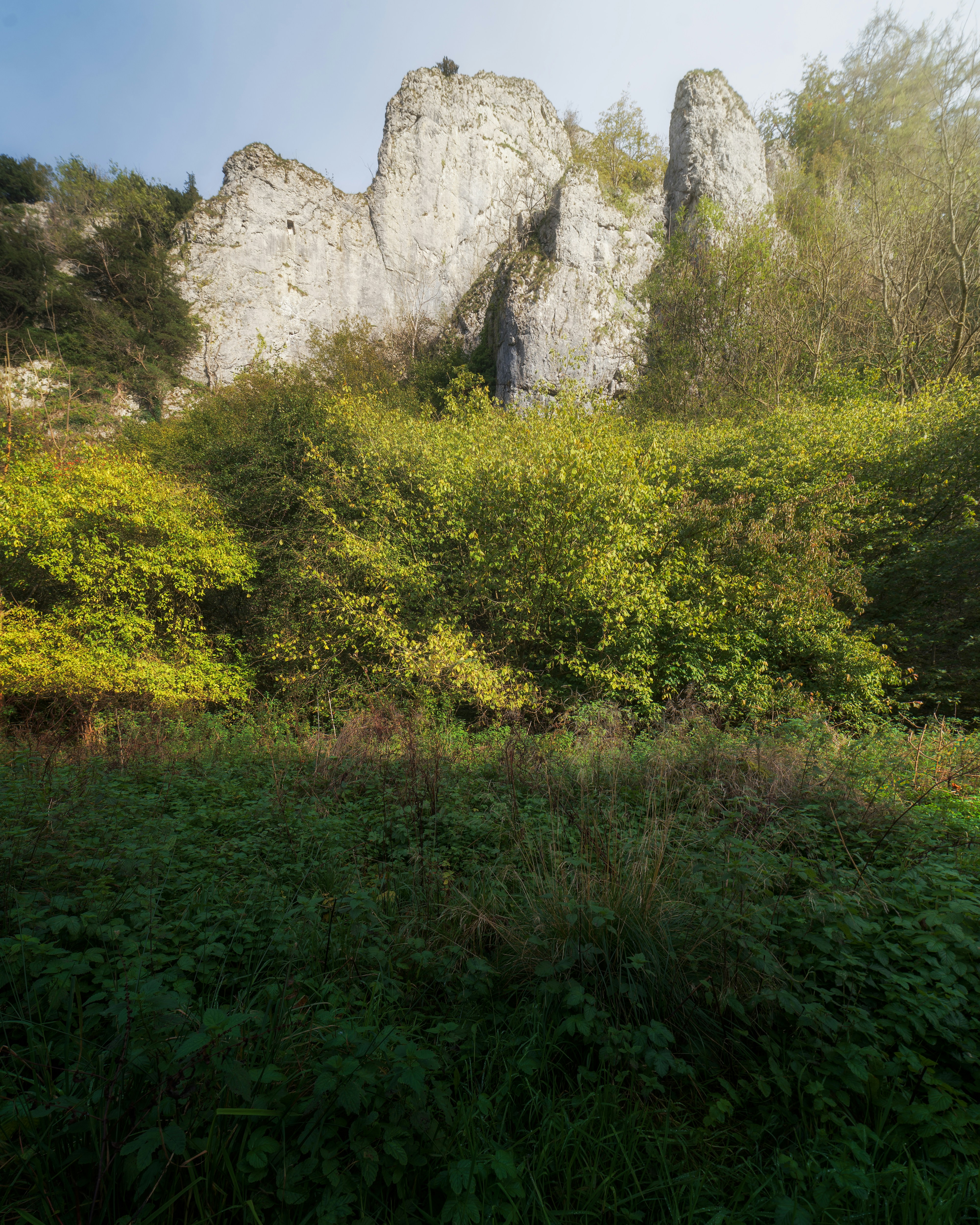 a lush green field next to a large rock formation