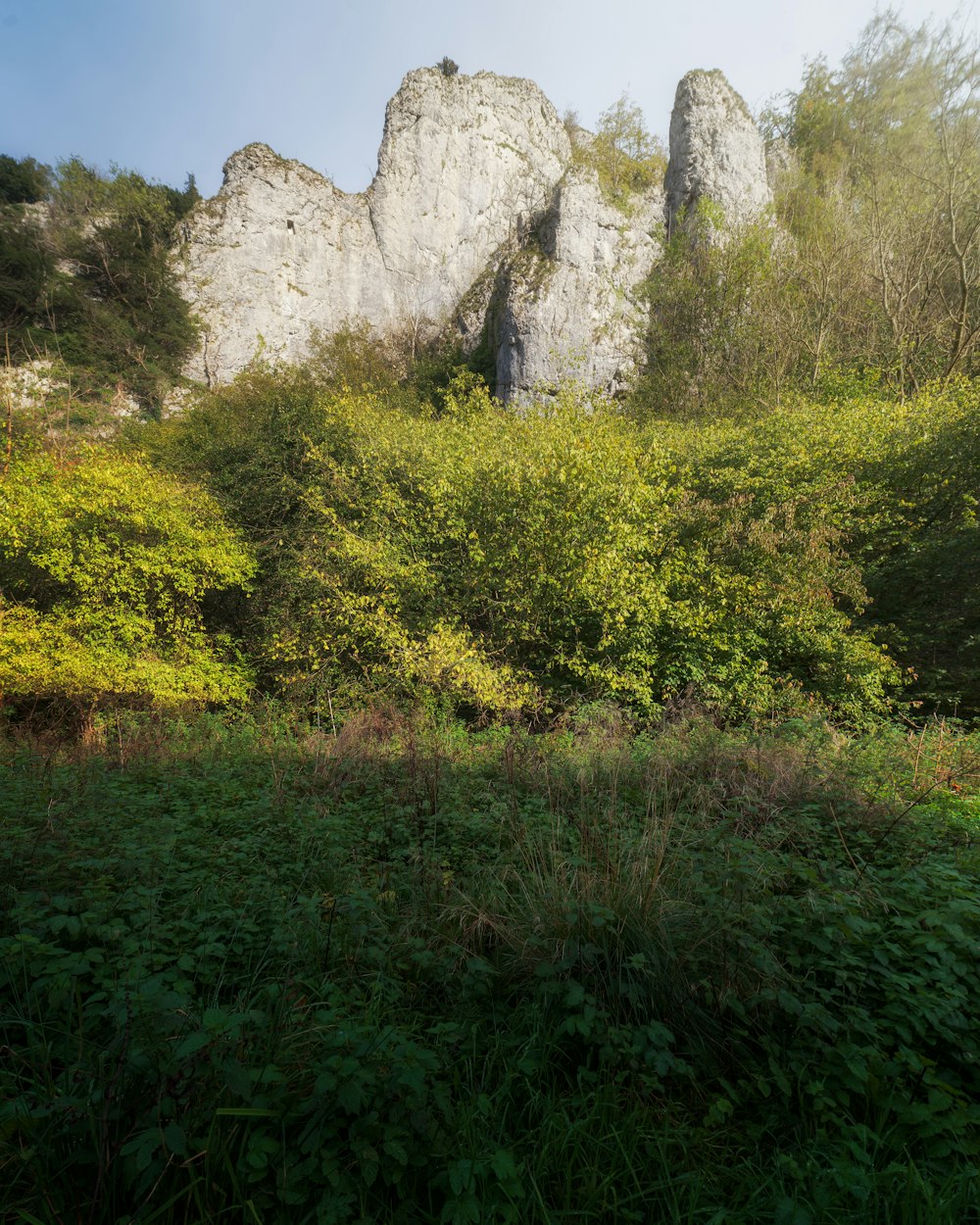 a lush green field next to a large rock formation