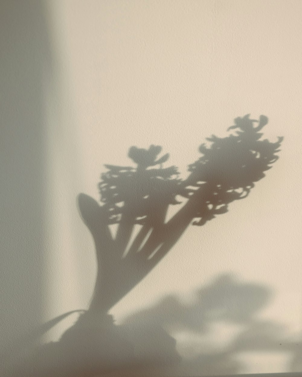 a shadow of a plant on a wall