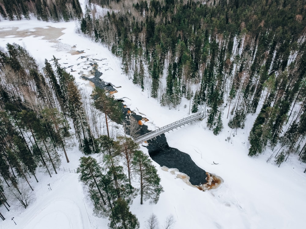 an aerial view of a bridge in the middle of a snowy forest