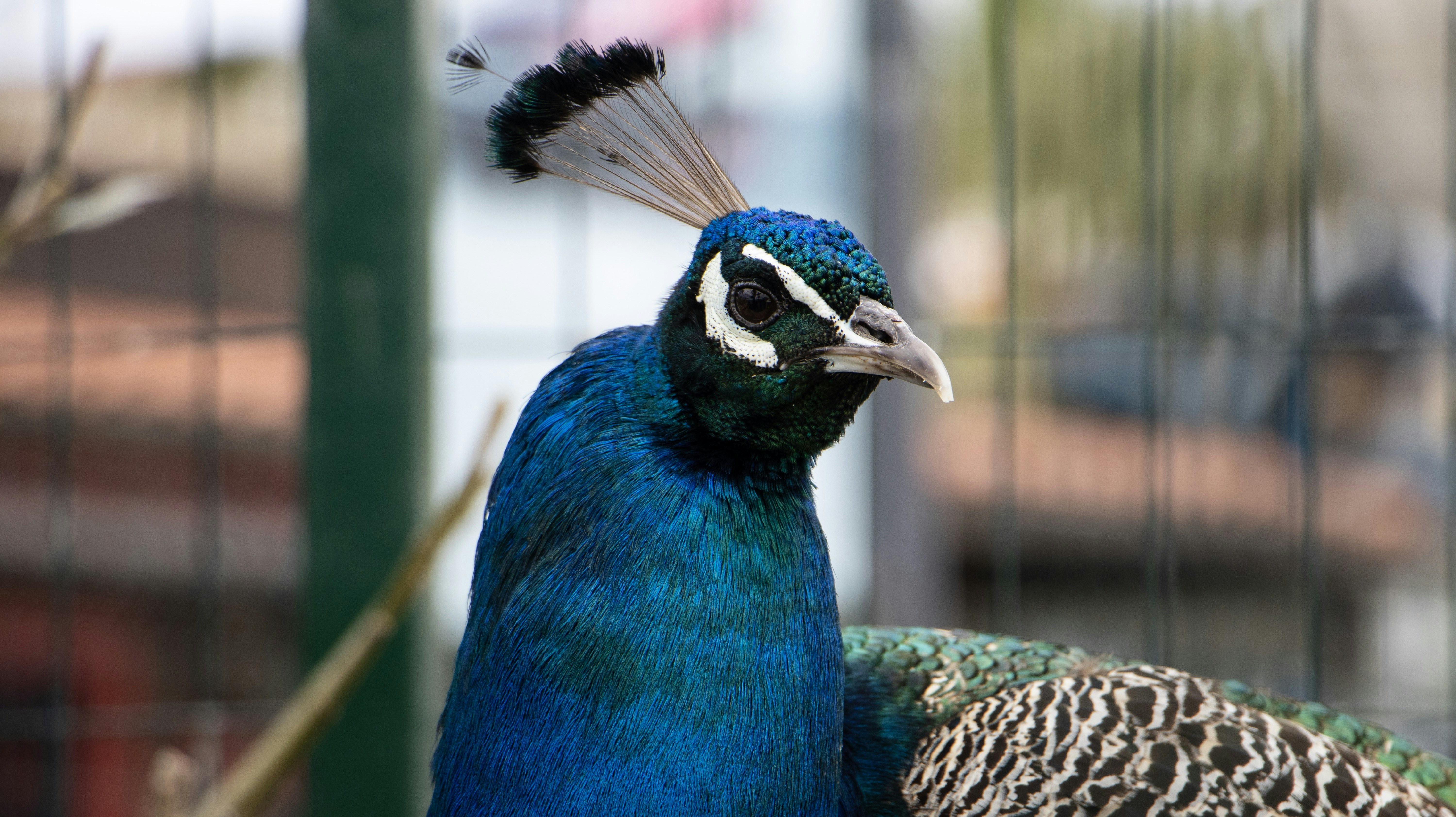 Photo by asliyarenpeker