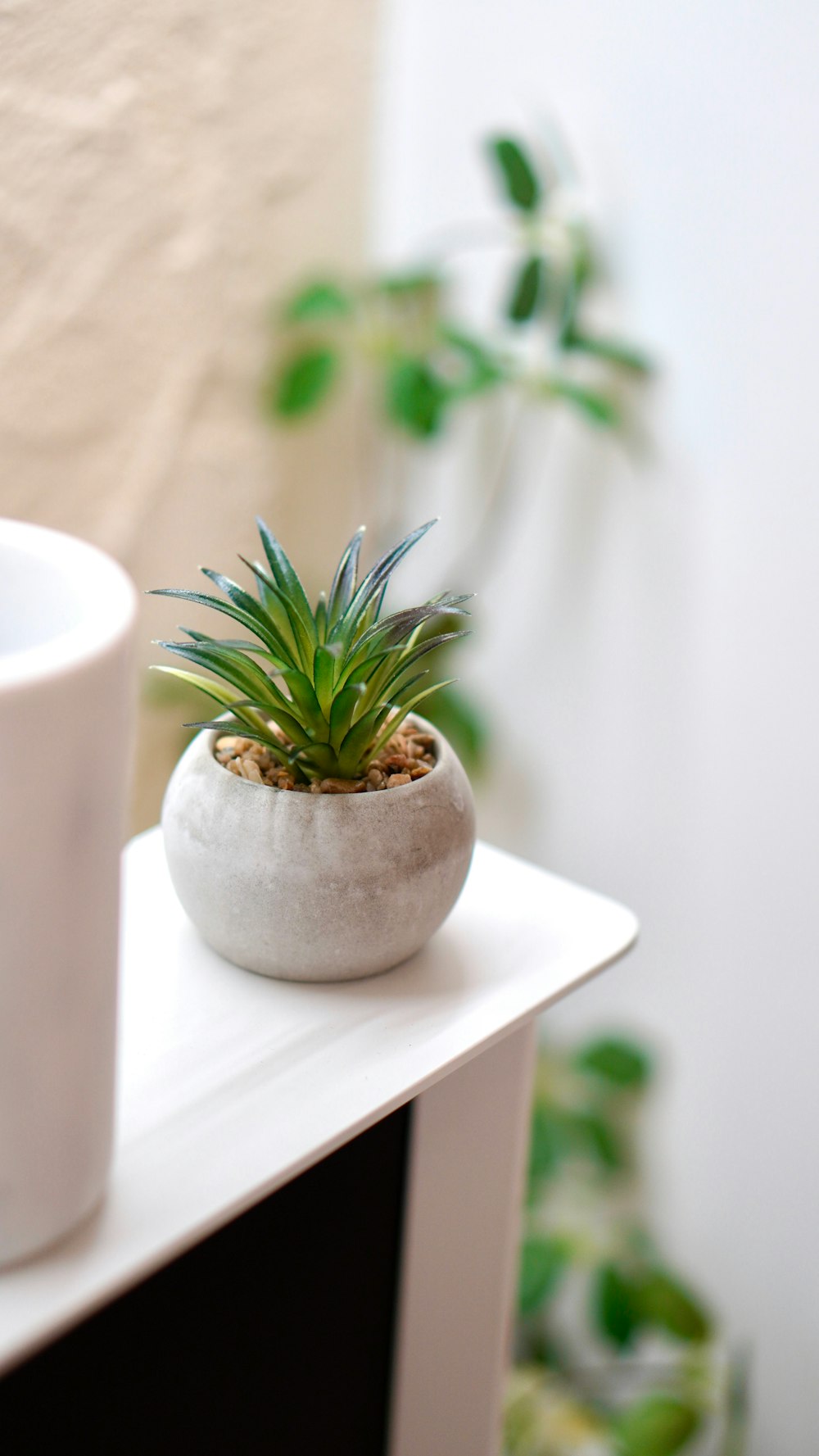 a white cup sitting on top of a table next to a plant