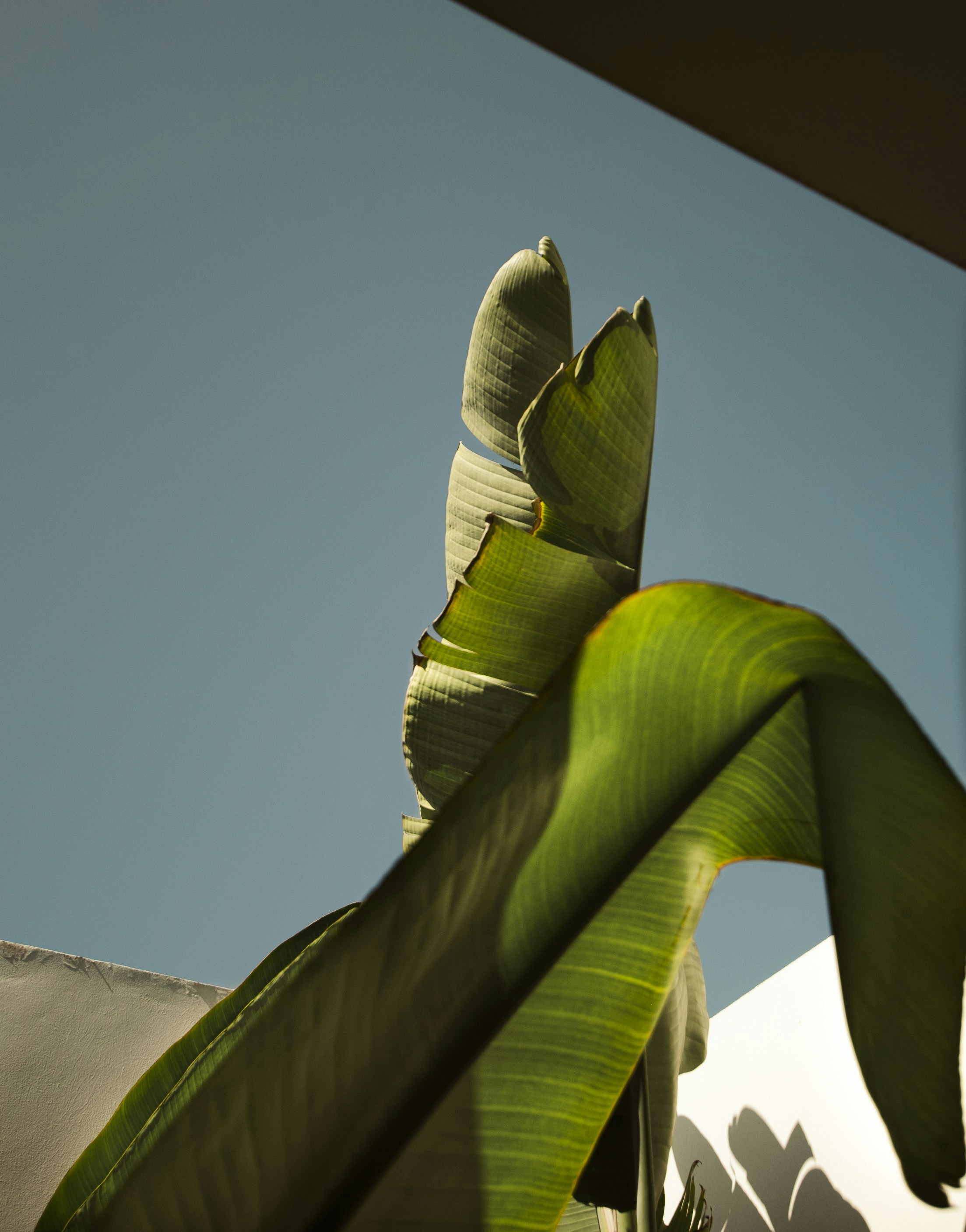 Photo by eric_soubeyrand